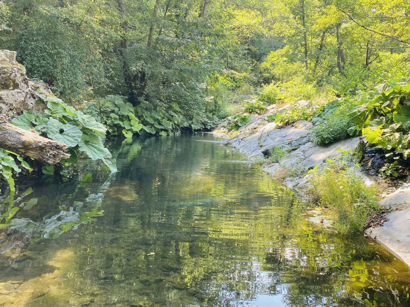 Villa in Borgomaro mit privatem Parkplatz-Omgeving