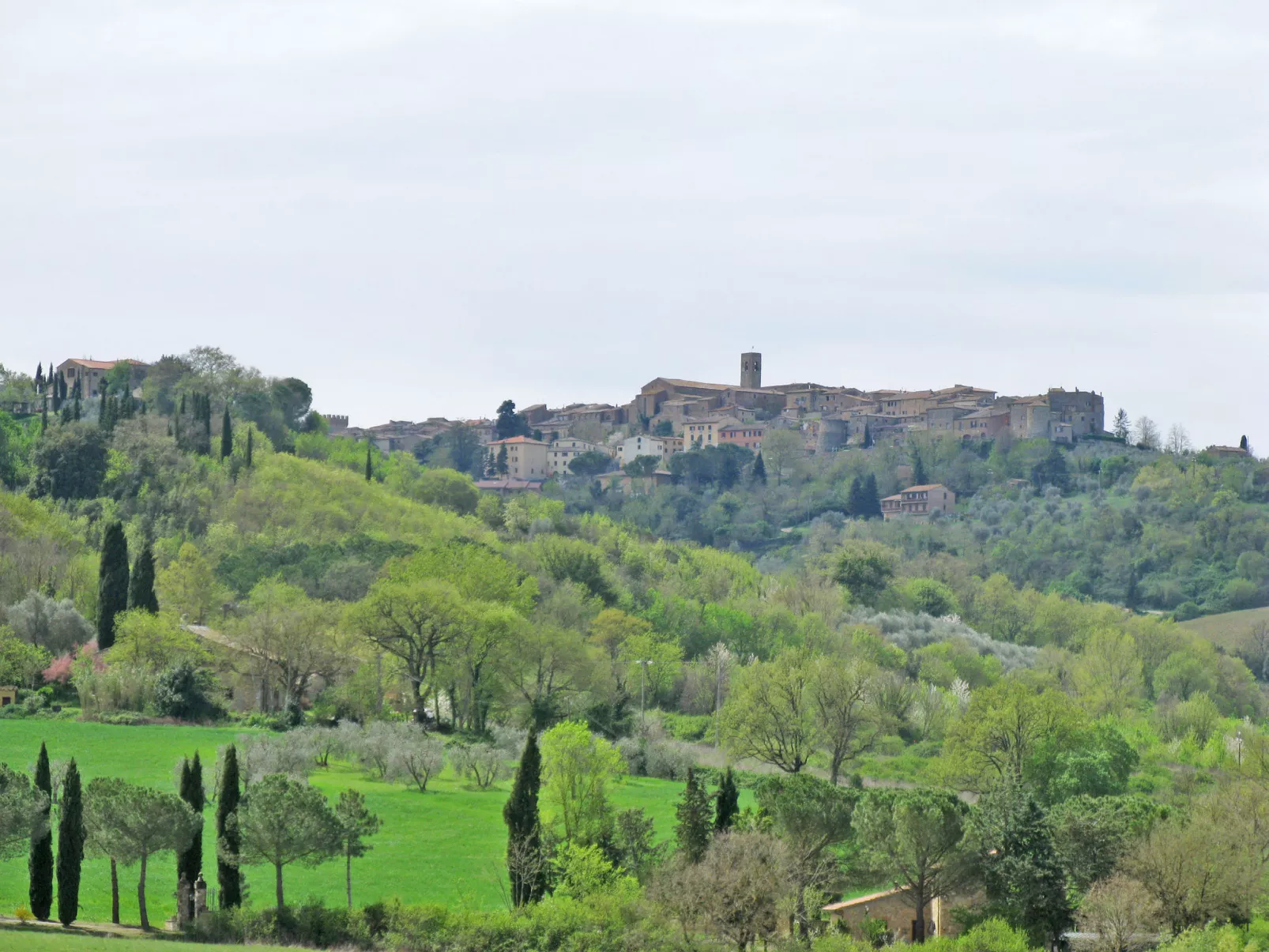 Wohnung Monteriggioni - Omgeving