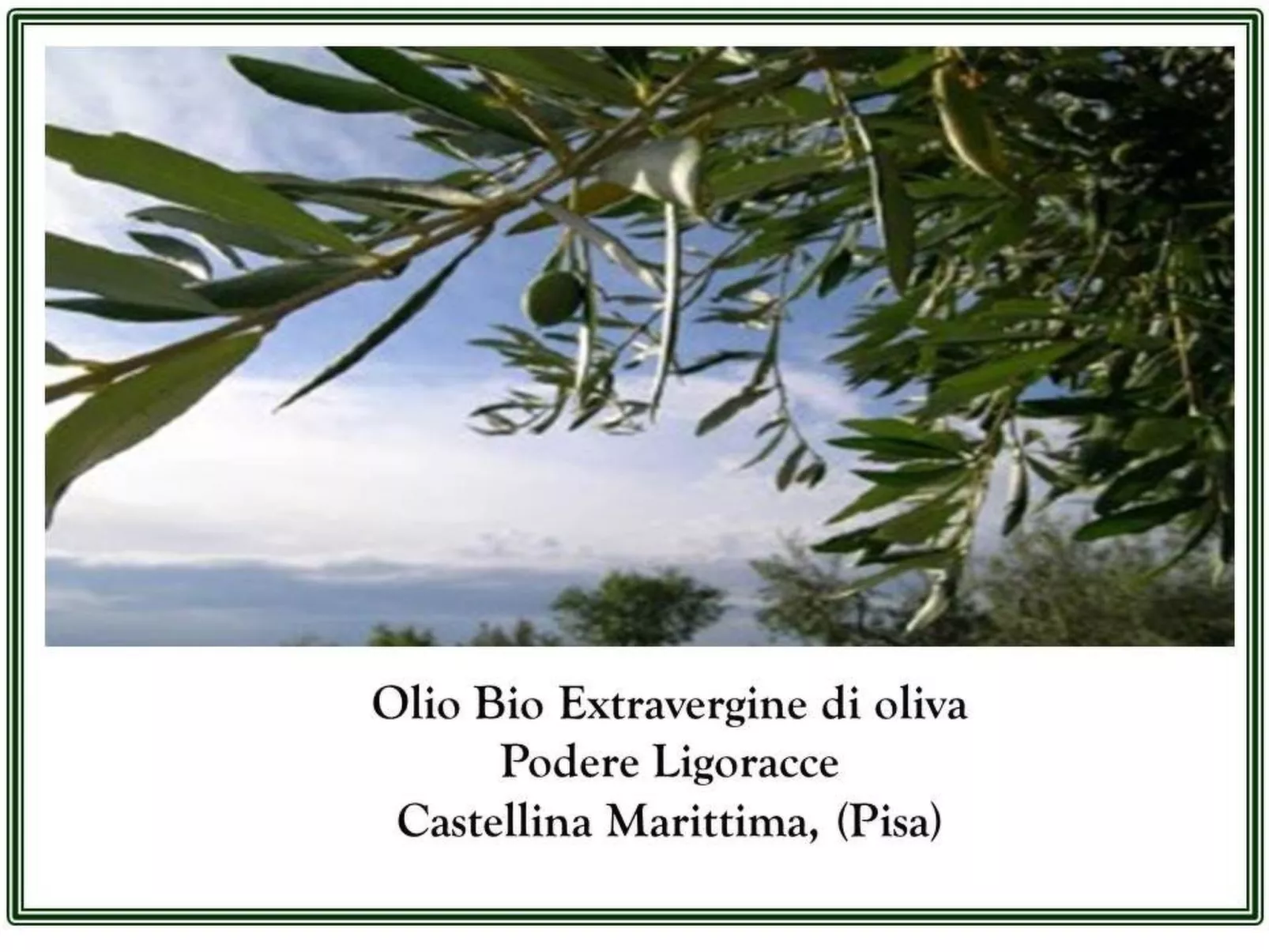 Wohnung Grecale in Castellina Marittima