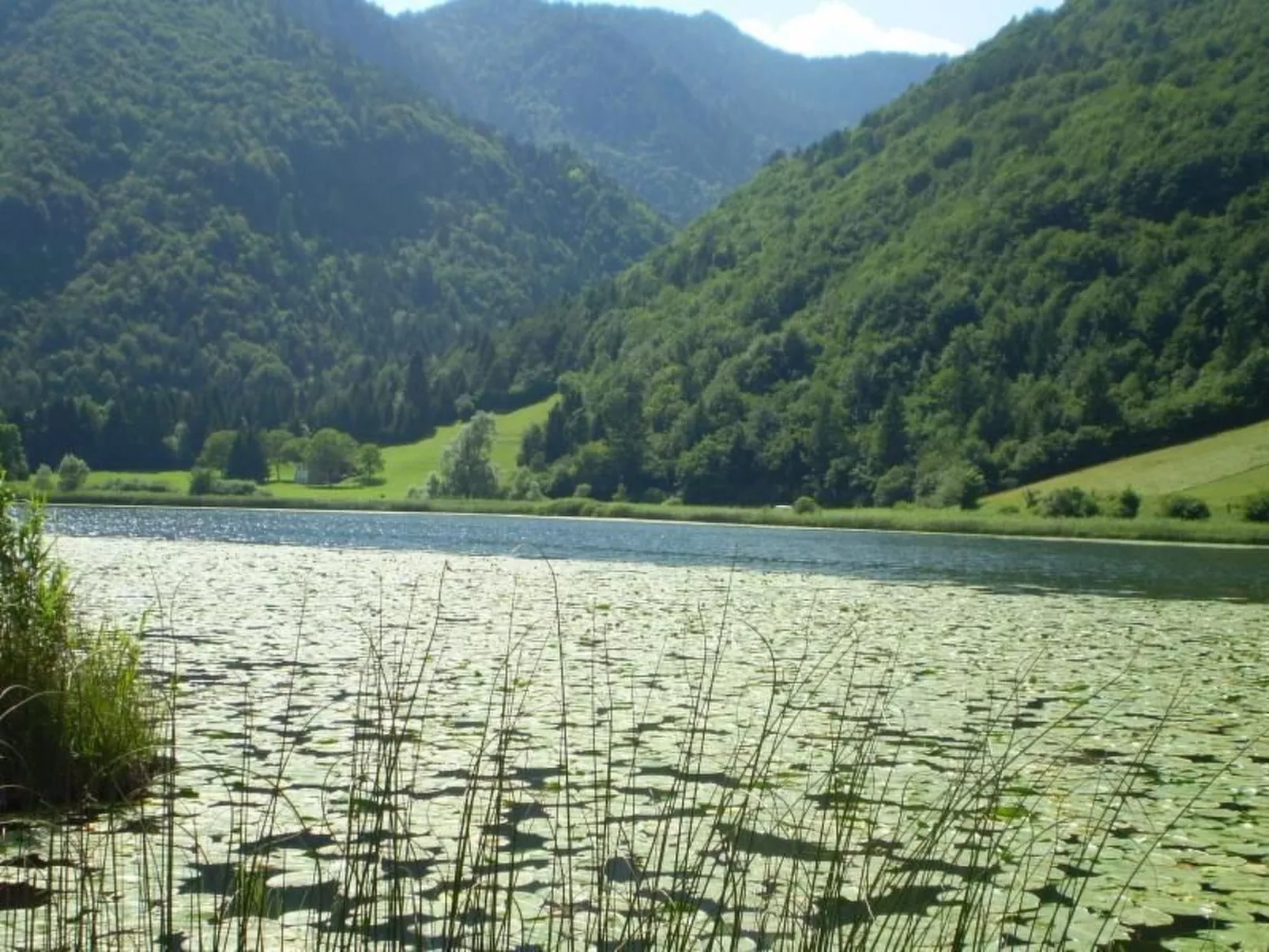 Freistehendes Haus mit eingezäuntem Privatgarten
