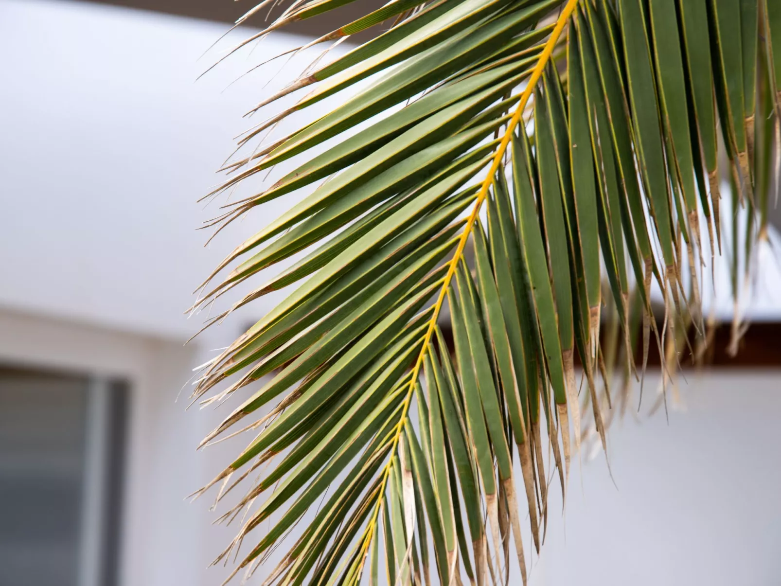 Modernes und helles Ferienhaus direkt am Meer, mit zwei großen Terrassen, Garte