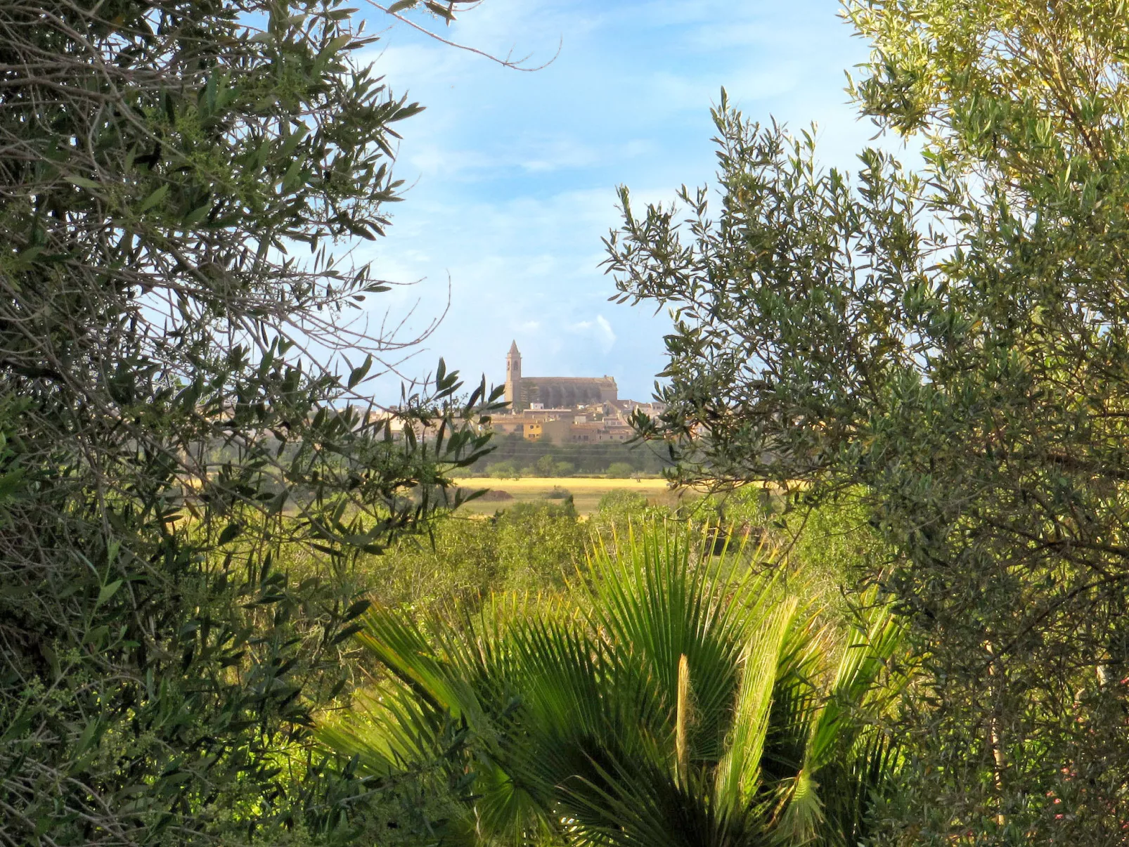 Finca Can Patito-Omgeving