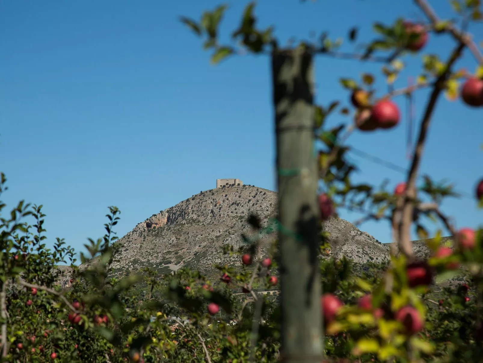 Casa Fluvià mit Gemeinschaftspool-Image-tags.info