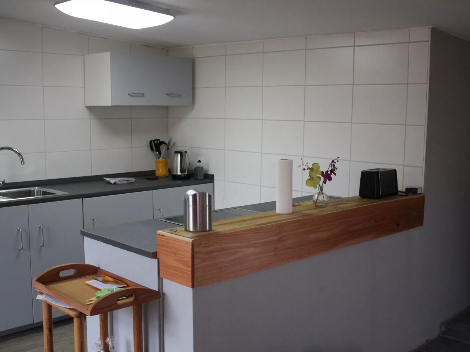 Waldrand in Ascheffel-Binnen