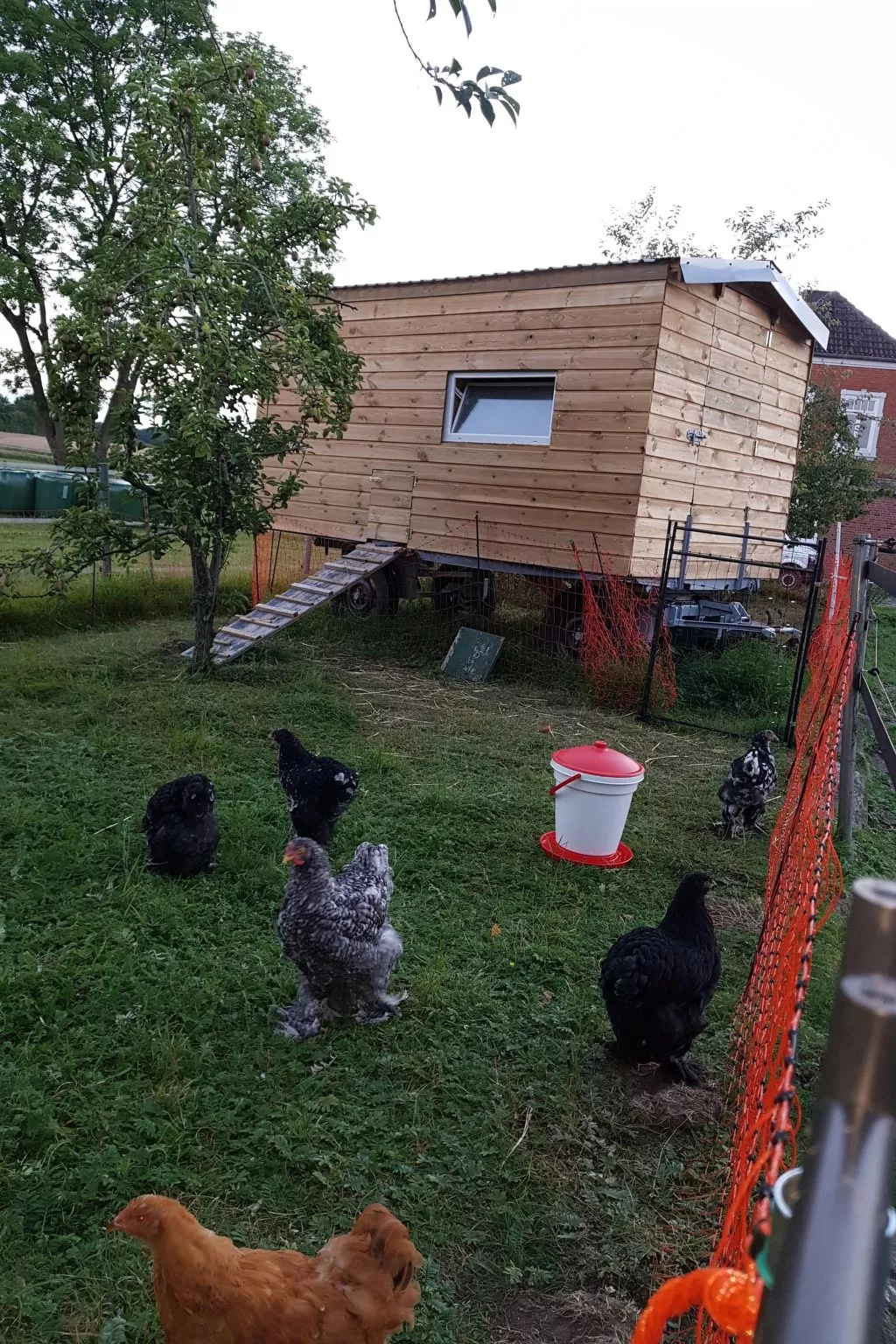 Westrich in guter Ausflugslage-Buiten