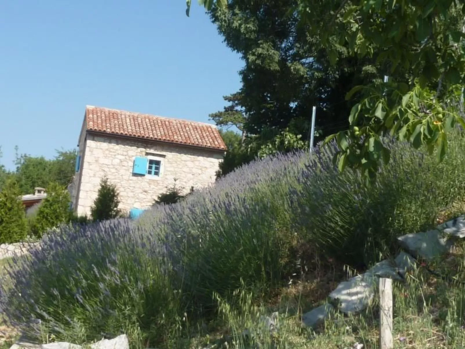 Ferienvilla Ivanka in Crikvenica-Image-tags.info