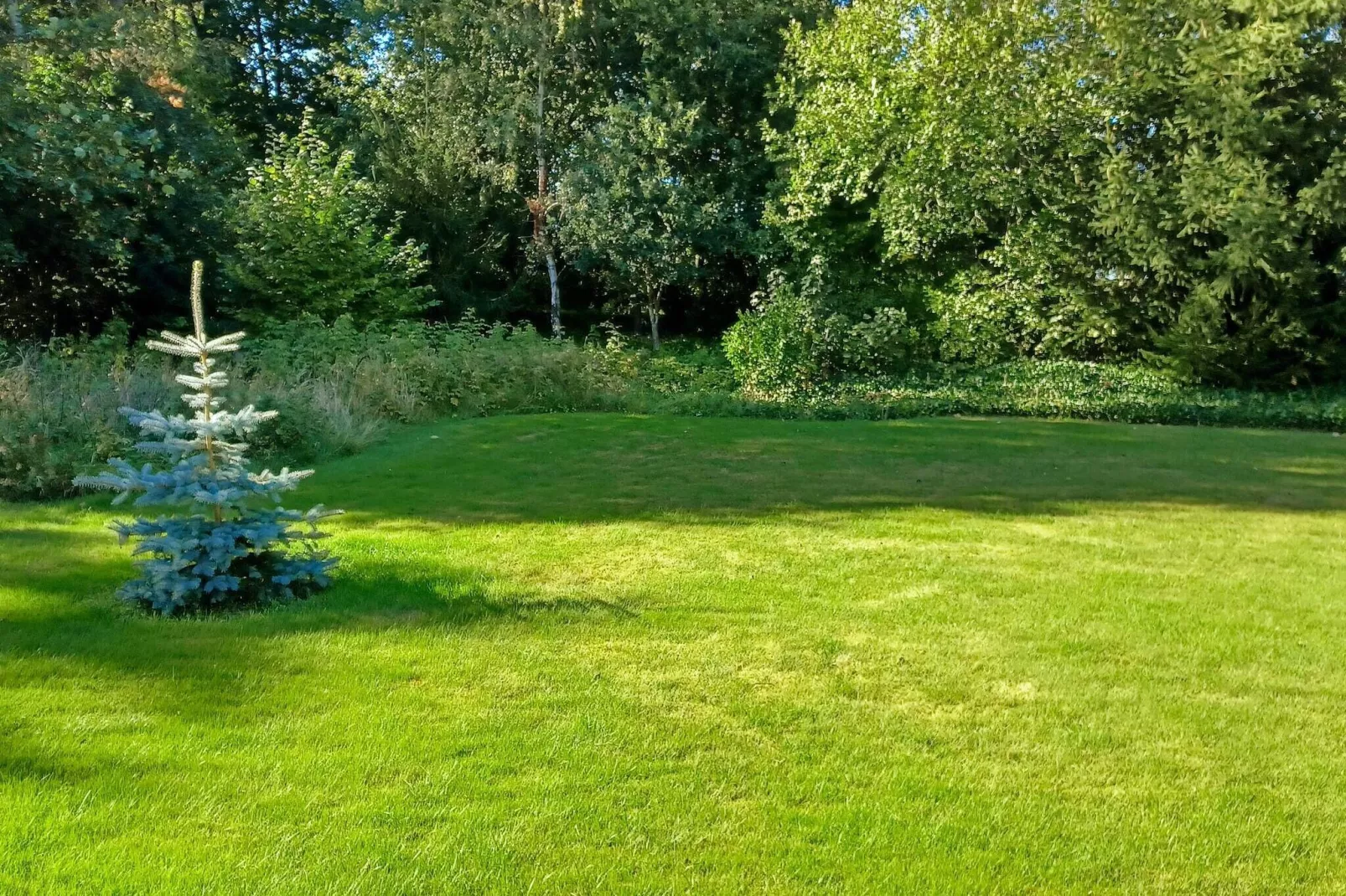 6 persoons vakantie huis in Farsø-By Traum-Buitenlucht