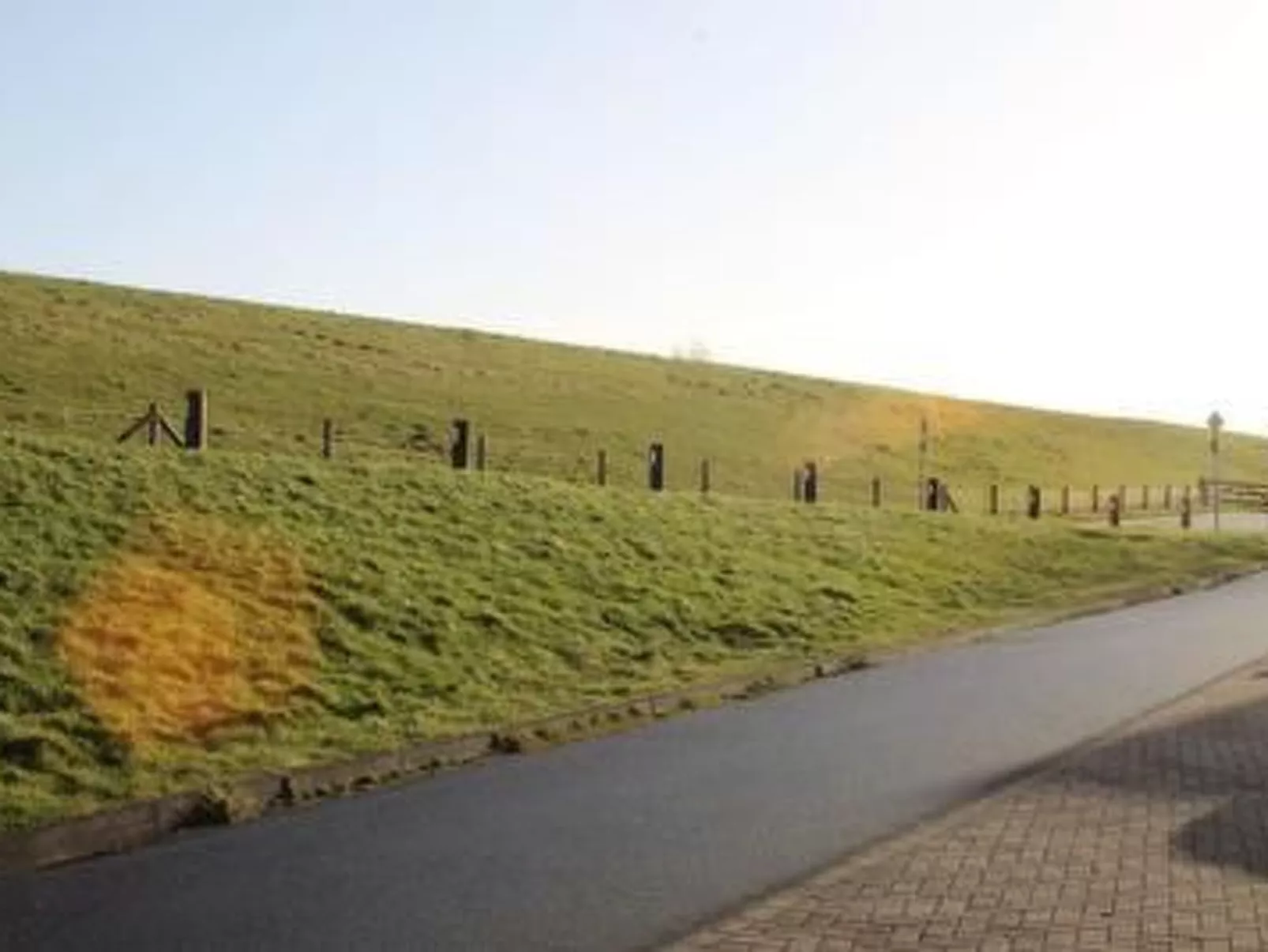 Wattwurm in Fedderwardersiel-Binnen