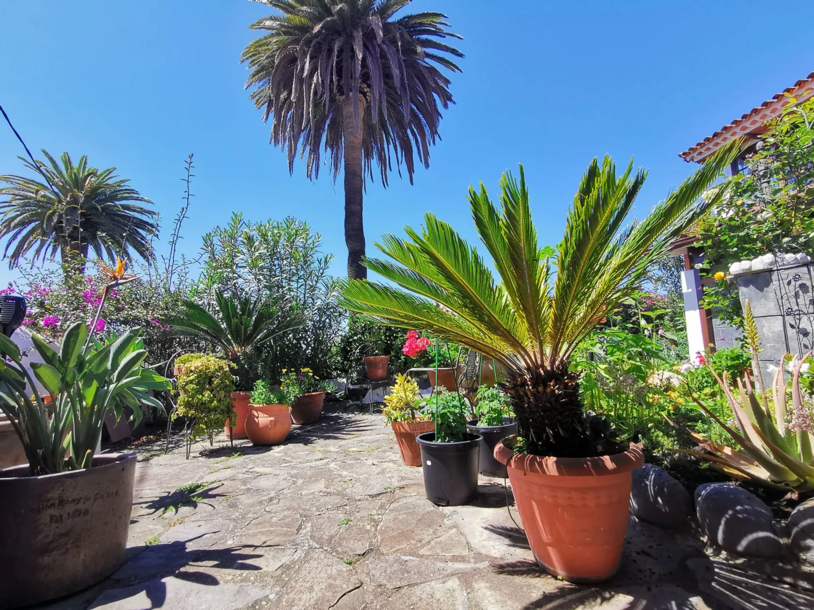 Renovierte Finca Paradies mit privatem Pool-Binnen