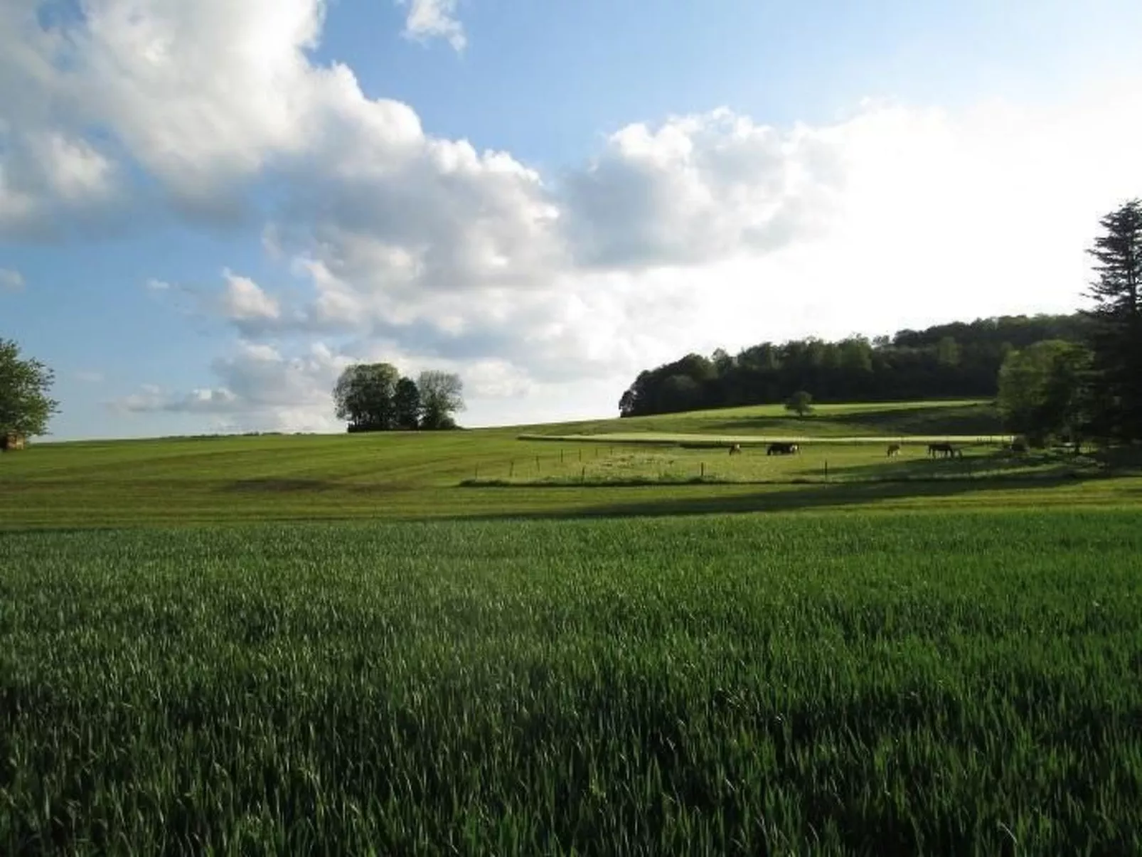 Wunderschönes Ferienhaus in Zainingen-Binnen