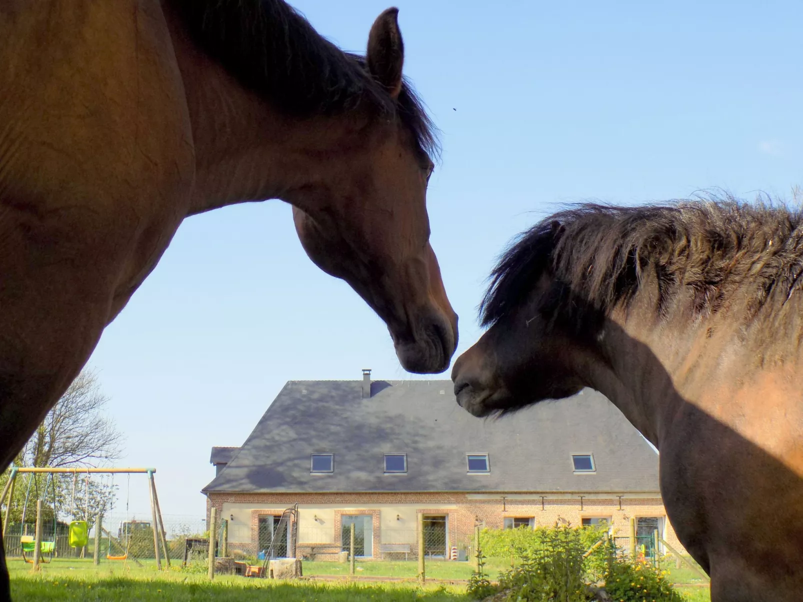 Für 8 Personen - Buiten