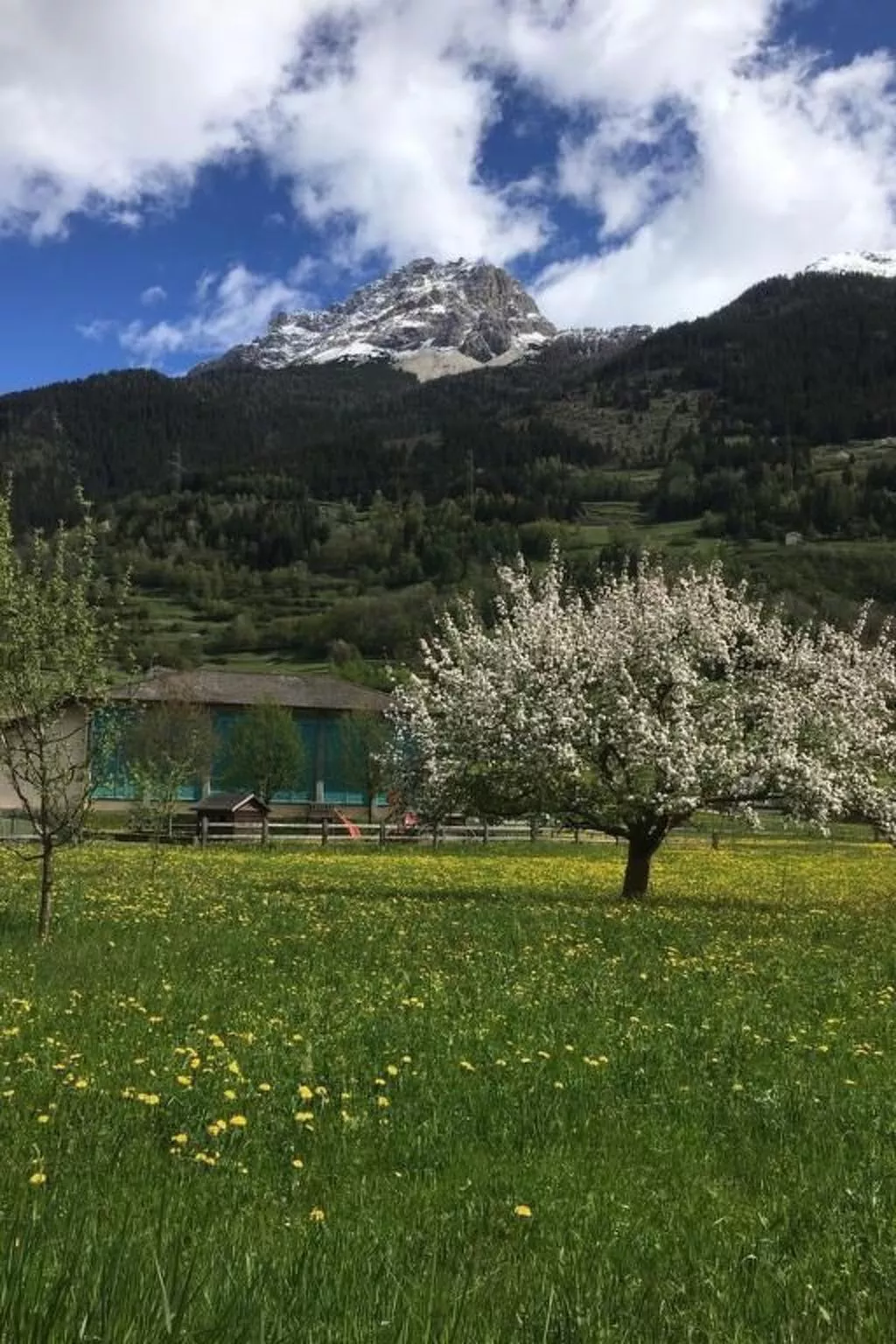 Wohnung mit Bergblick-Binnen