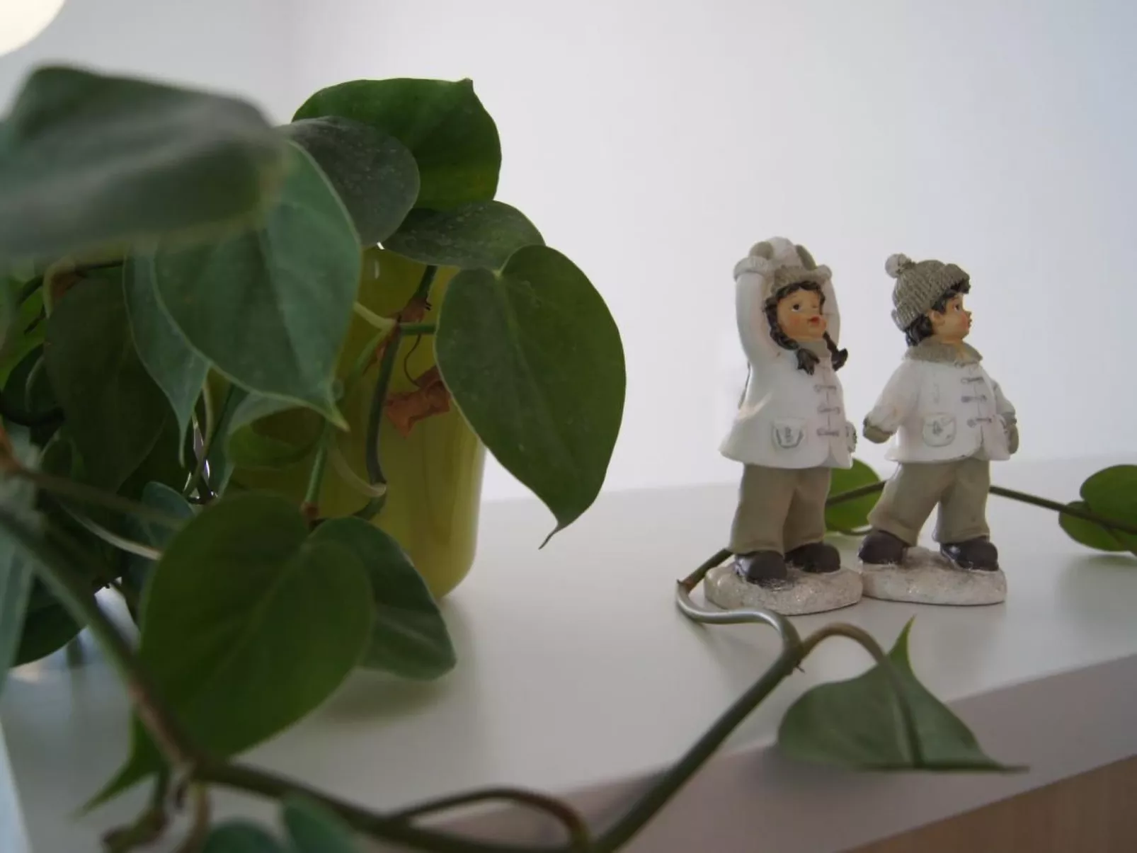 "Ferme d'Alma"-Binnen