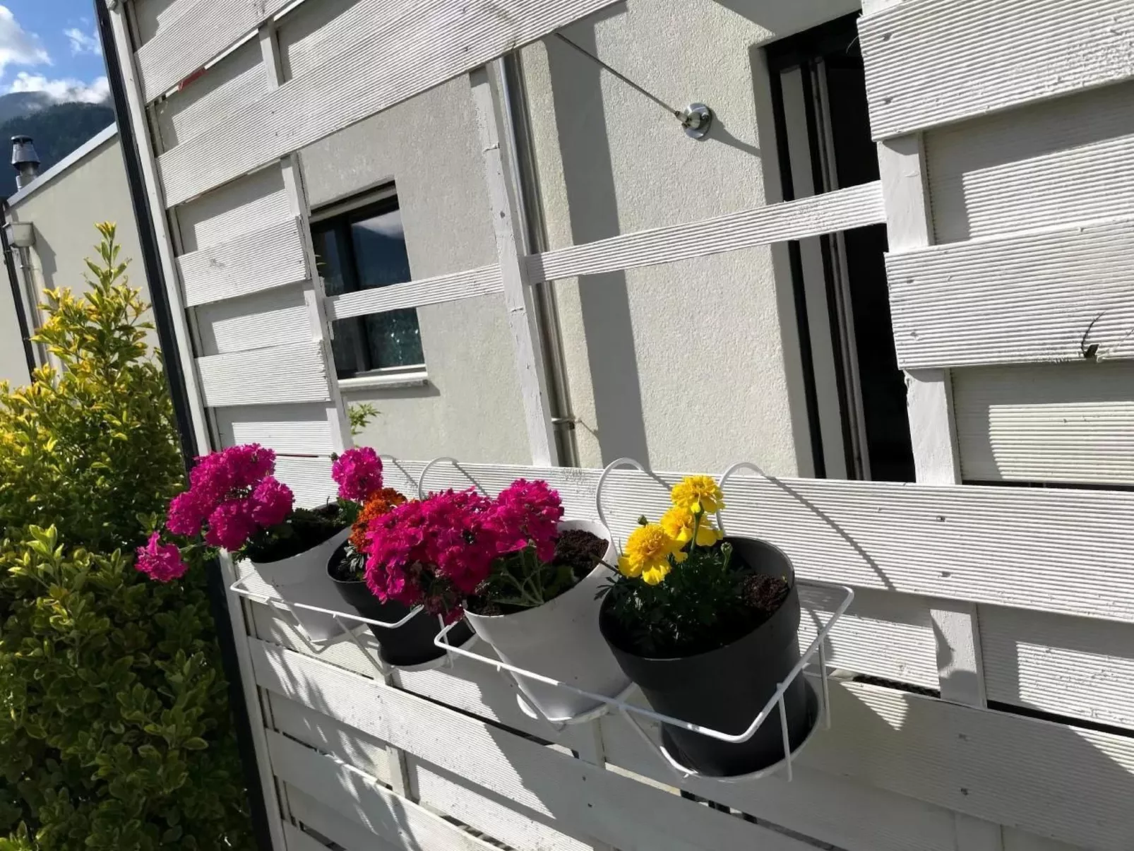 Guesthouse Petit Pré Studio ZEN-Image-tags.info