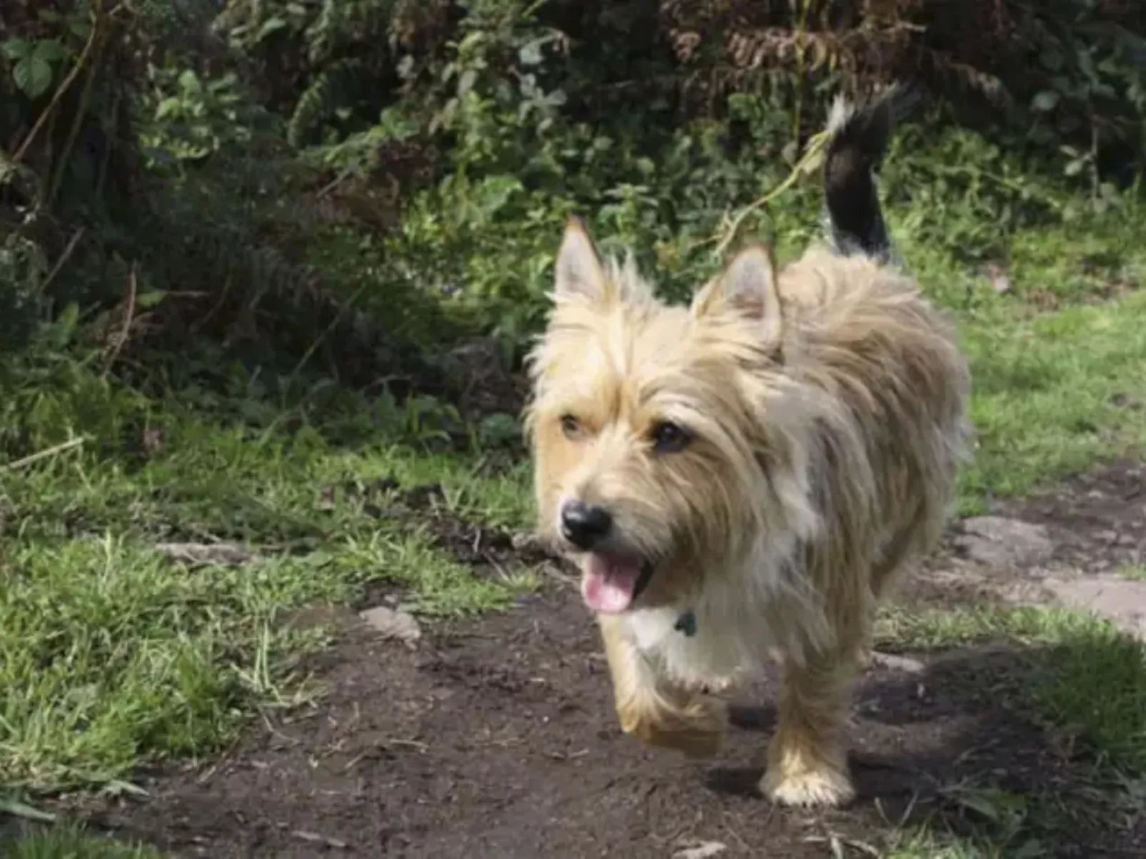 Idyllisches Landhaus Rosemary-Binnen