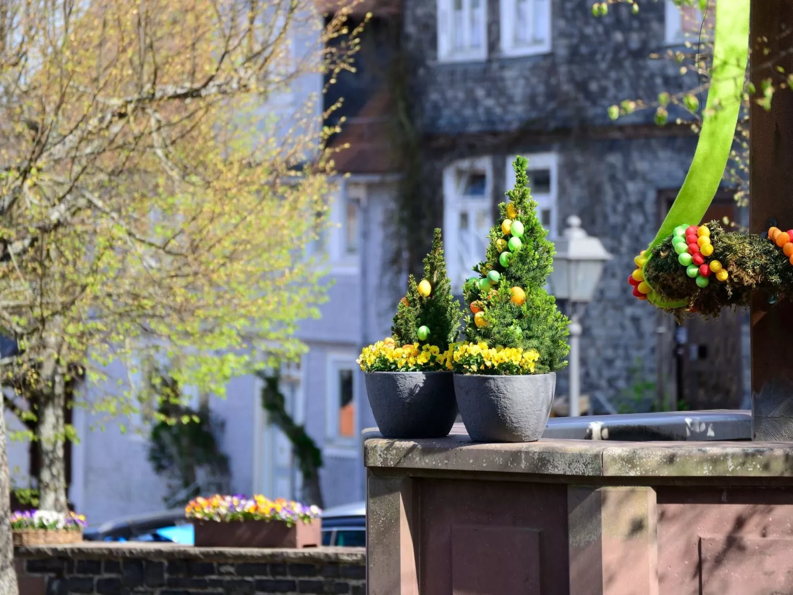 Amöneburg in Amöneburg-Binnen