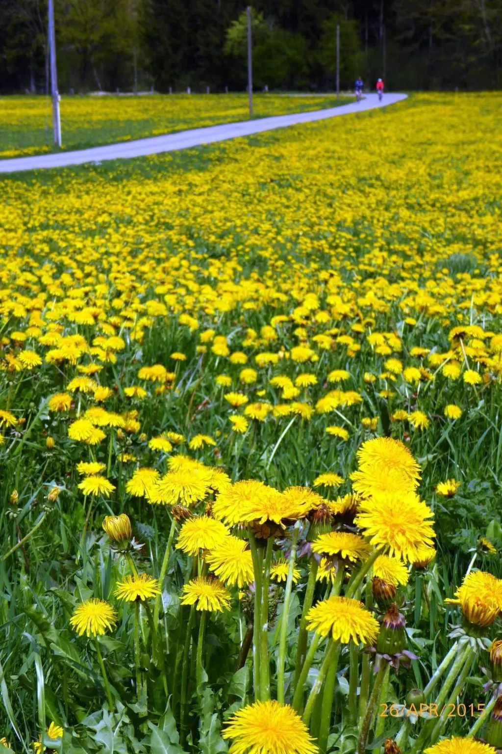 Haus mit  freier Fahrradnutzung und kleinem Boot-Buiten