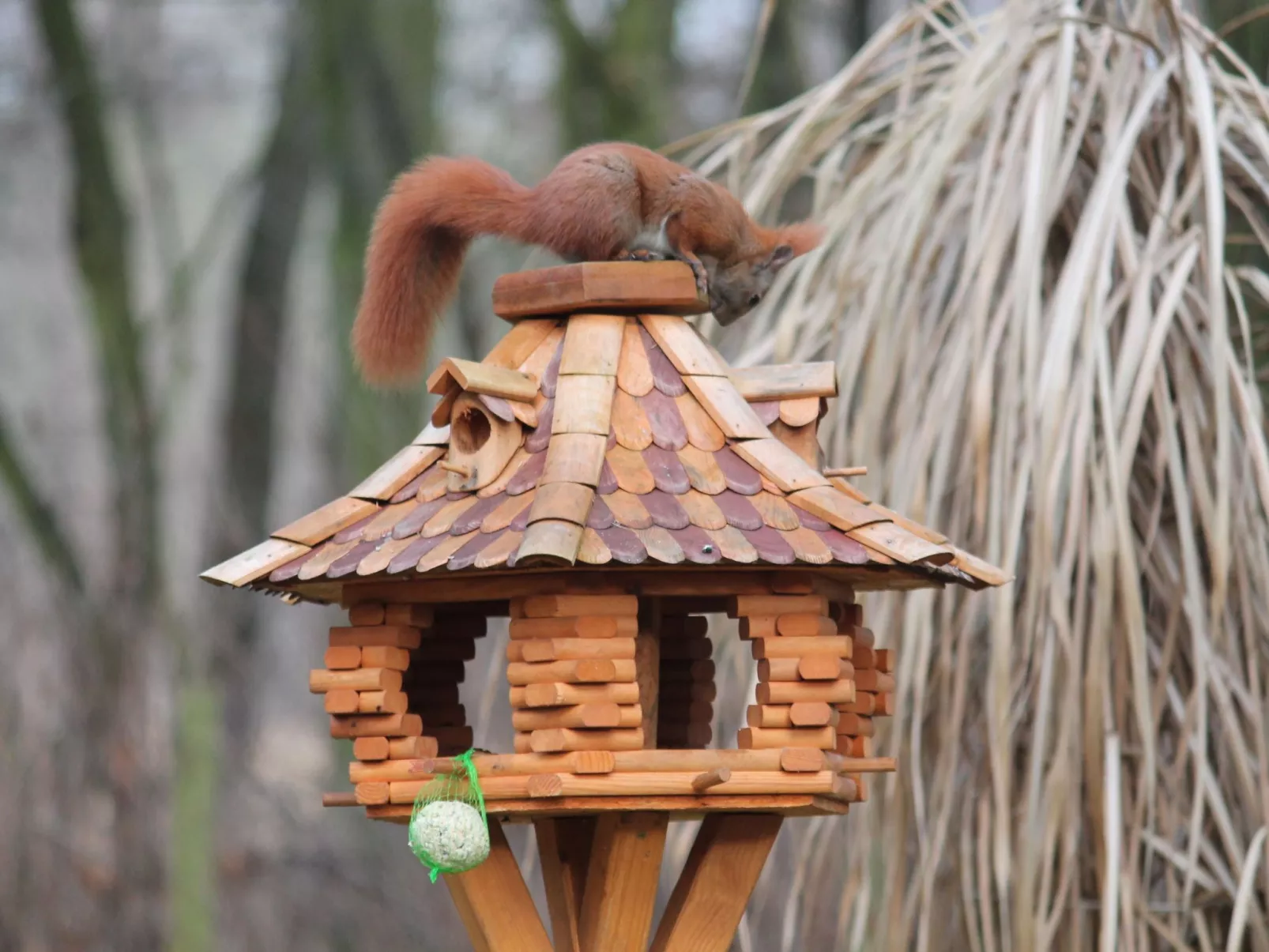 Bungalow Waldidyll-Image-tags.info