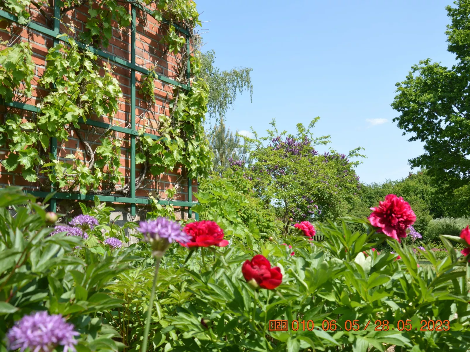 Büdnerei Cantnitz-Buiten