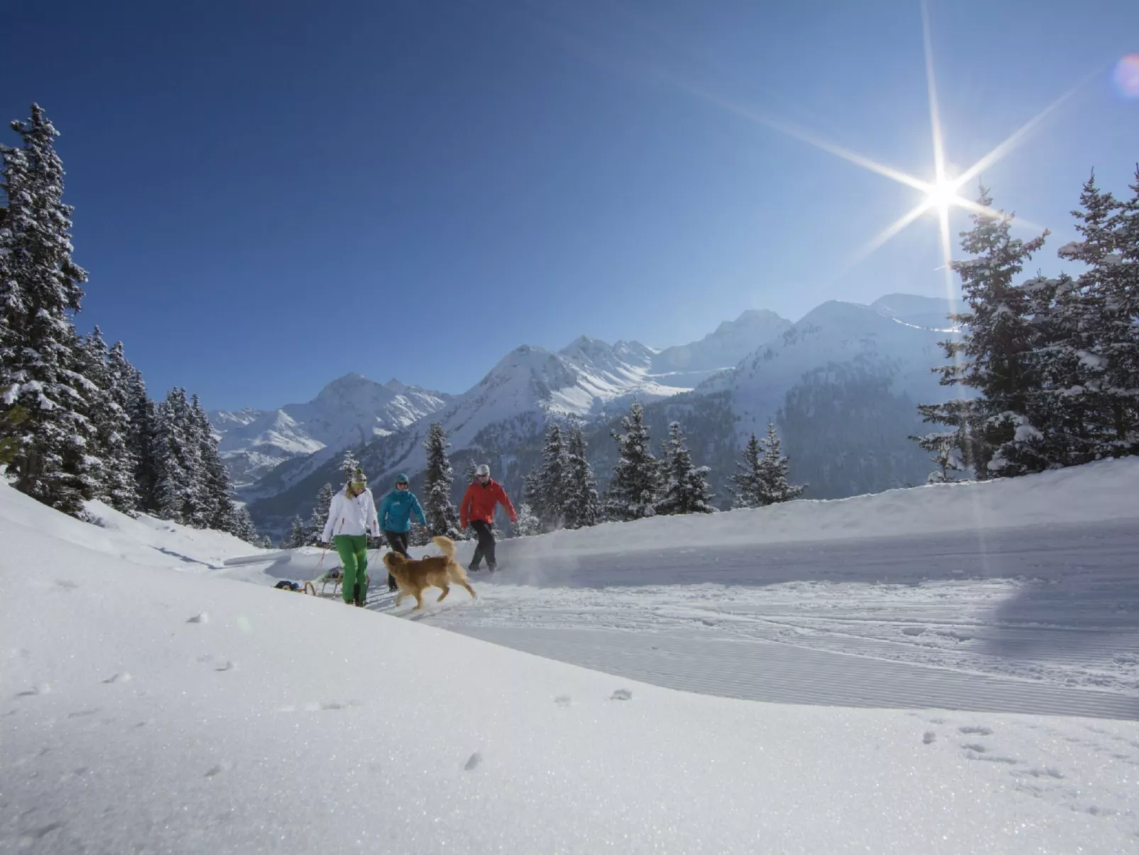 Ötztaltor in Sautens-Omgeving