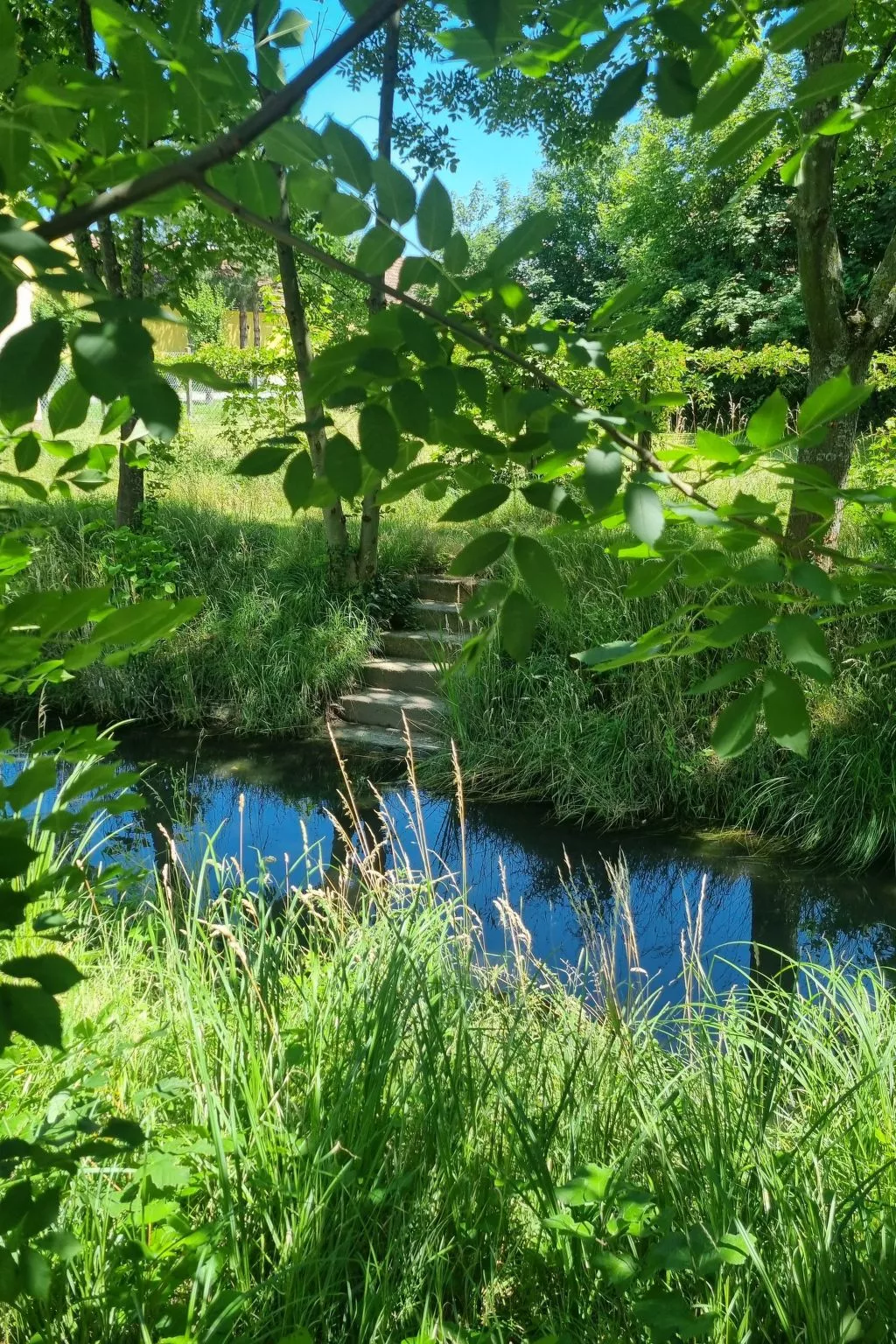 Familienfreundliche Wohnung im schönen Reisenberg-Binnen