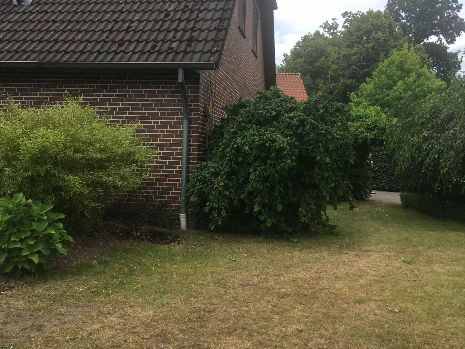 Wohnung in Tewel mit Terrasse, Garten und Grill-Buiten