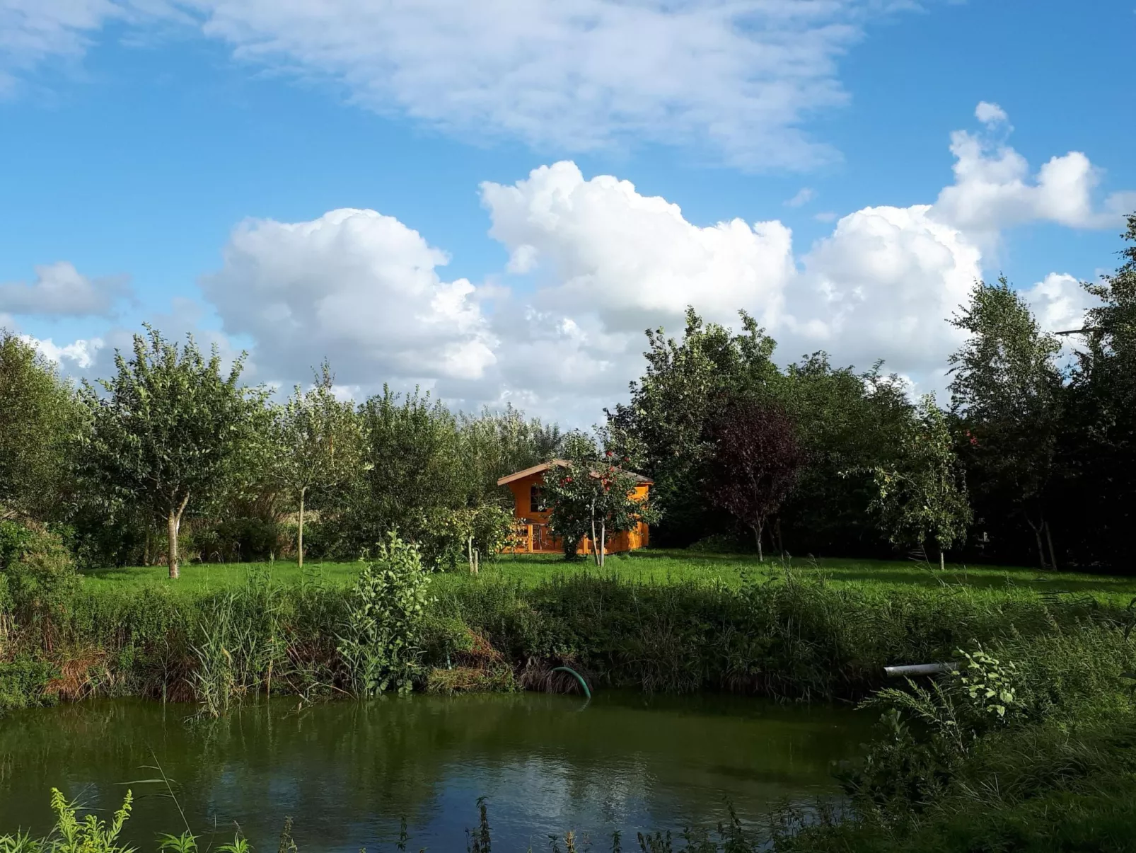 Sonnige Ferienwohnung in ländlicher Umgebung-Binnen