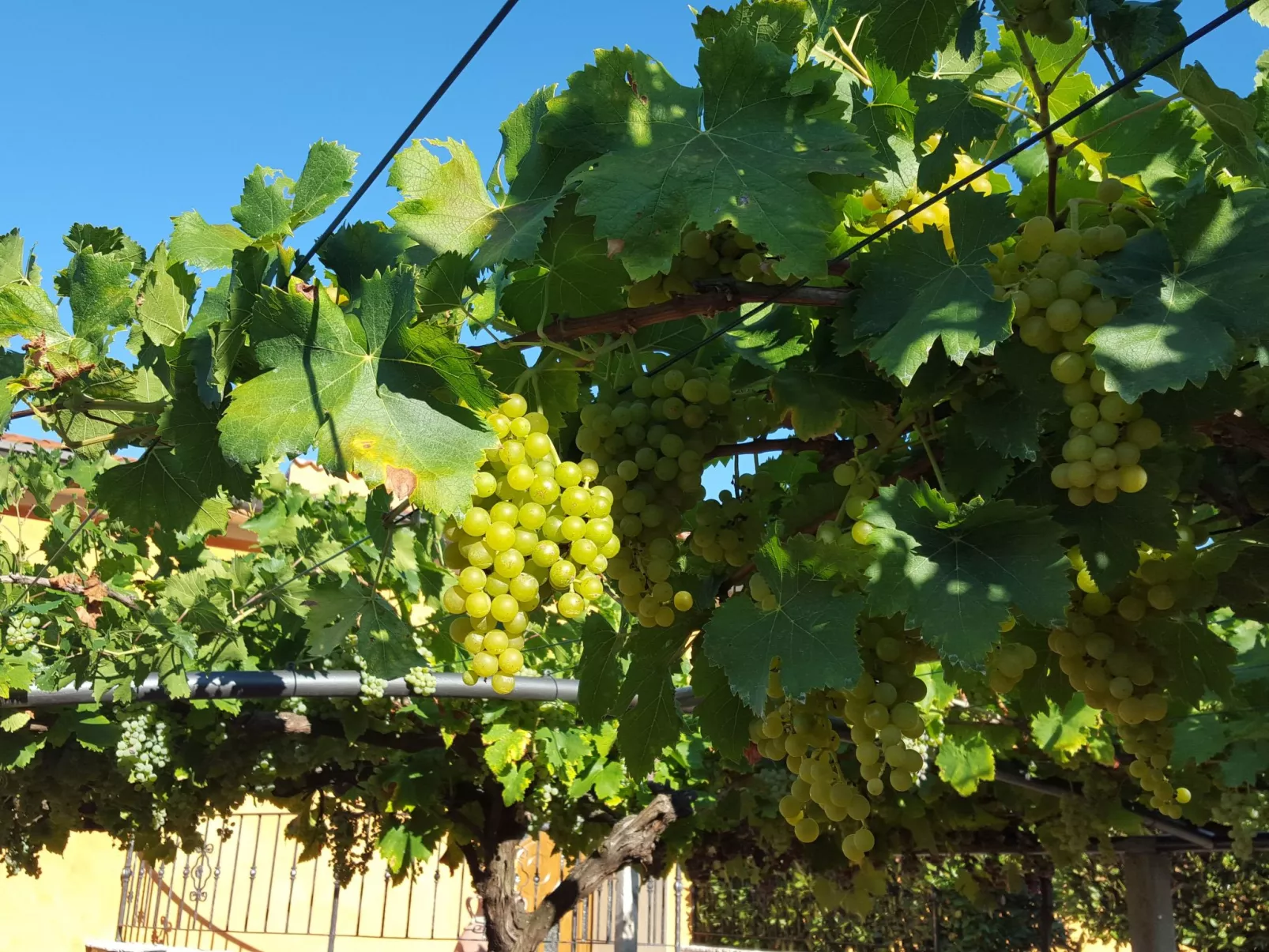 Schöne Villa mit Garten und Biodesign-Pool-Image-tags.info