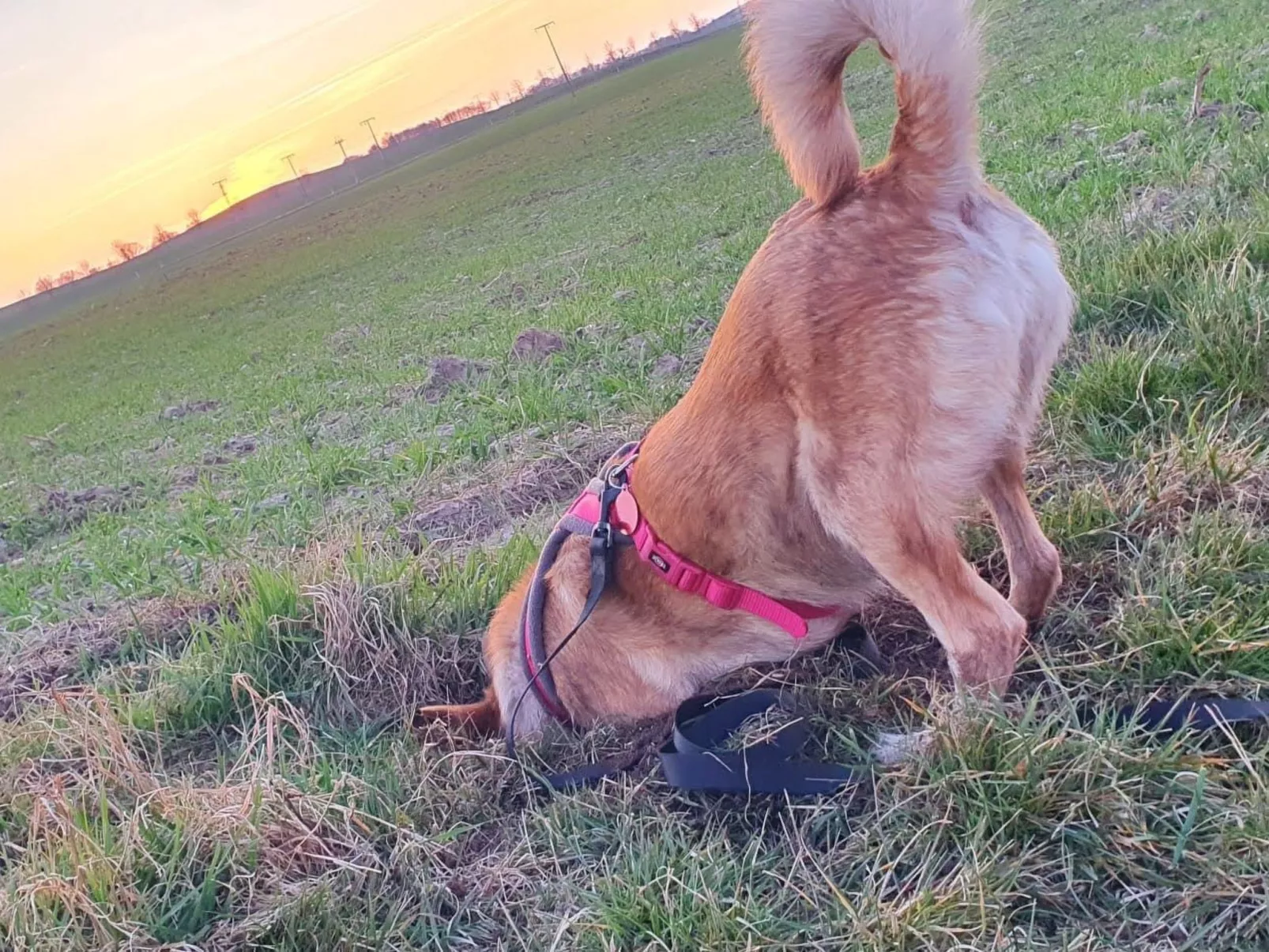 Landhaus Müritzliebe-Binnen