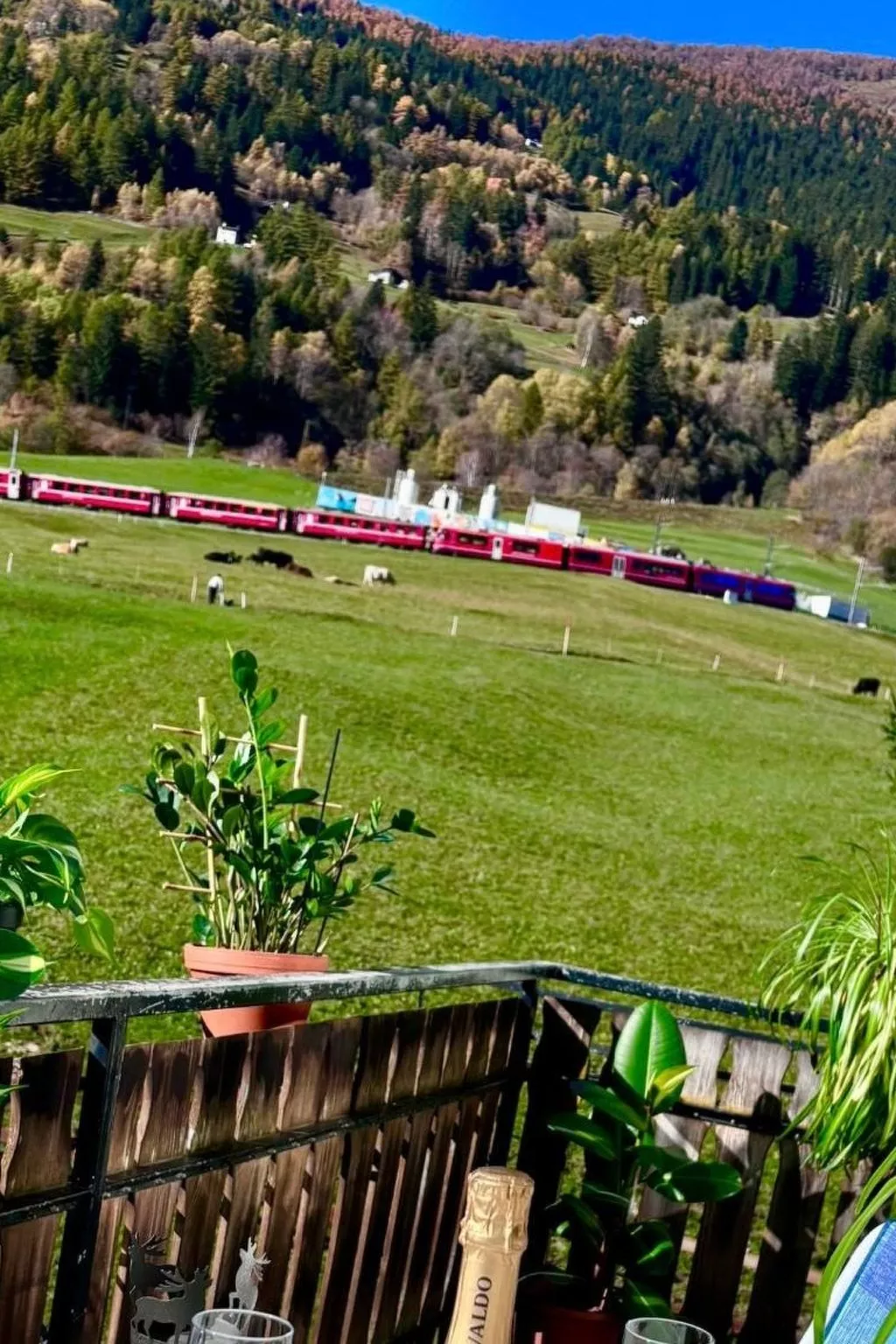 "Window on the grenn"-Binnen