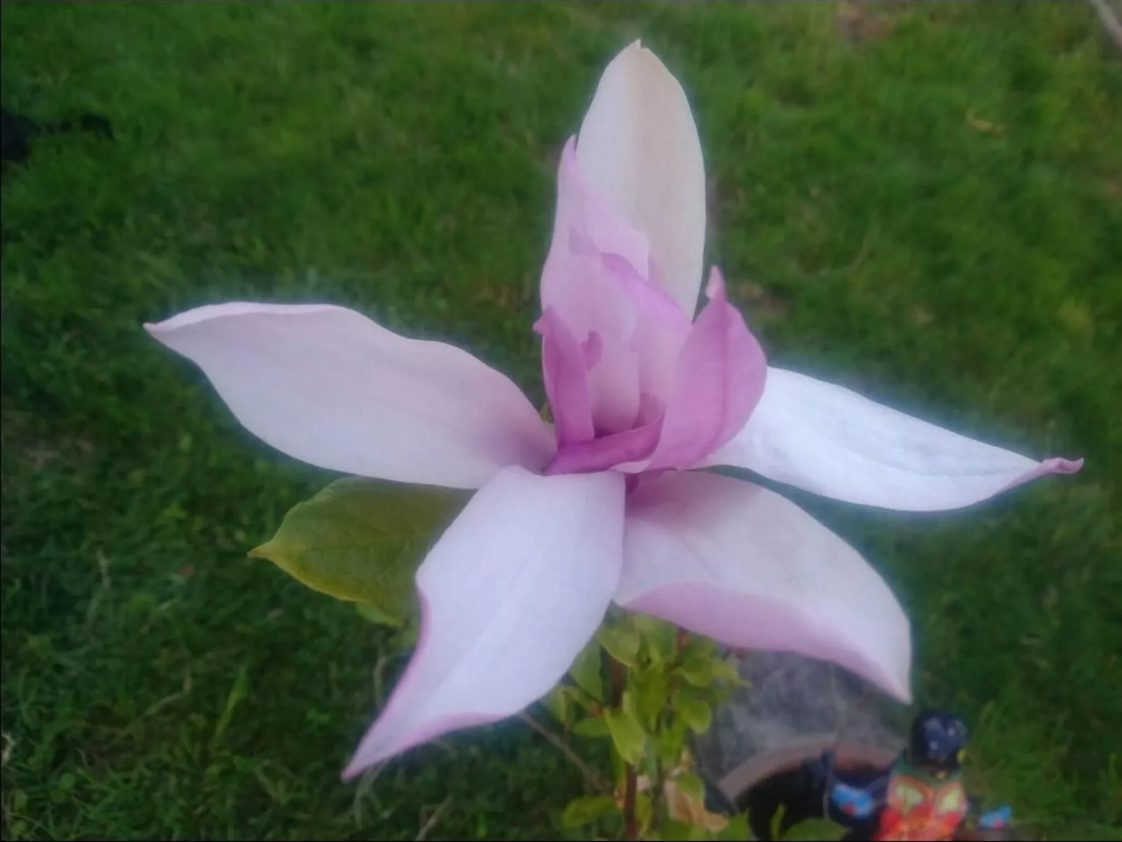 Wellness Oase-Binnen