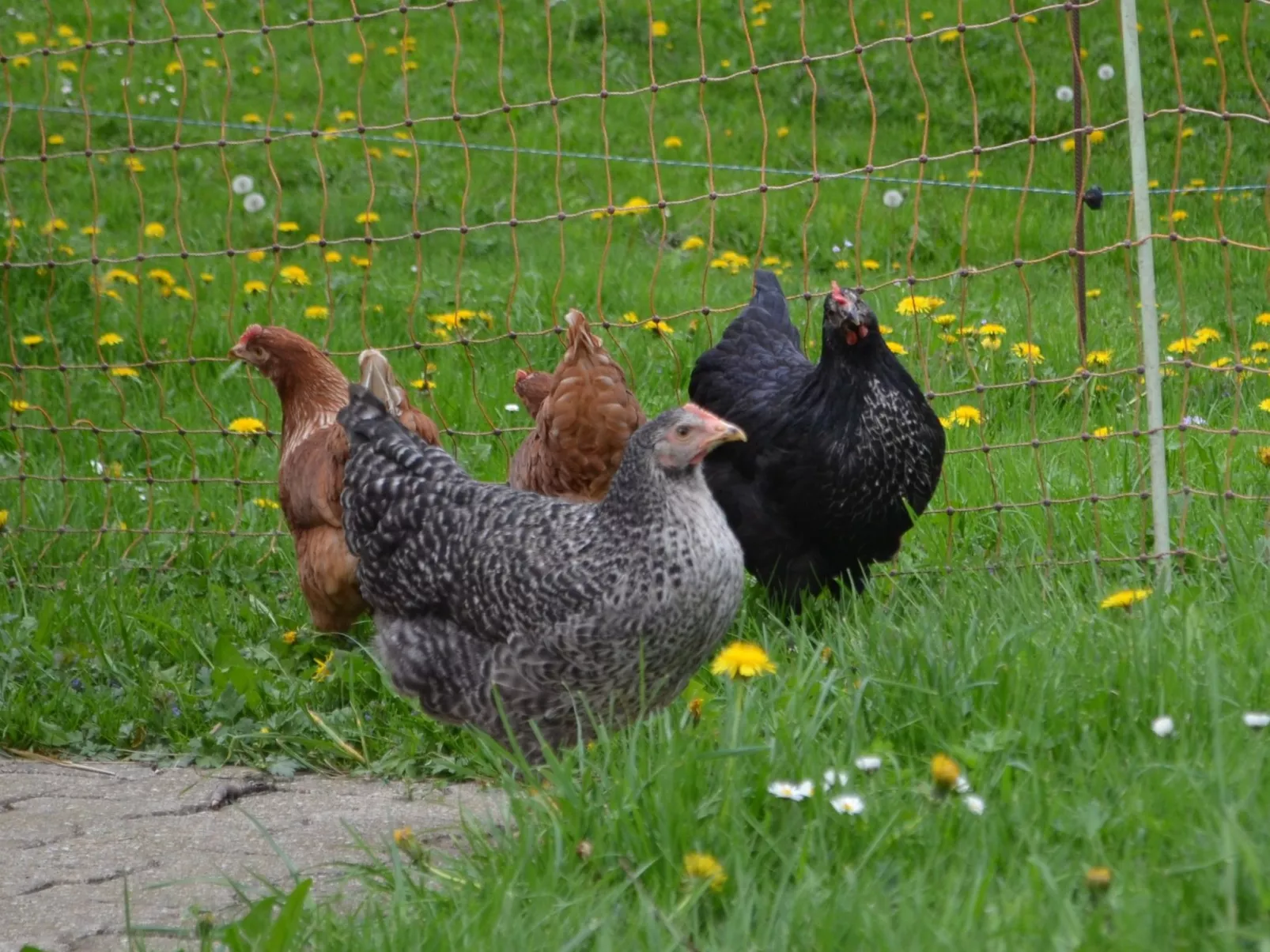 Wohnung "Rustique"-Buiten