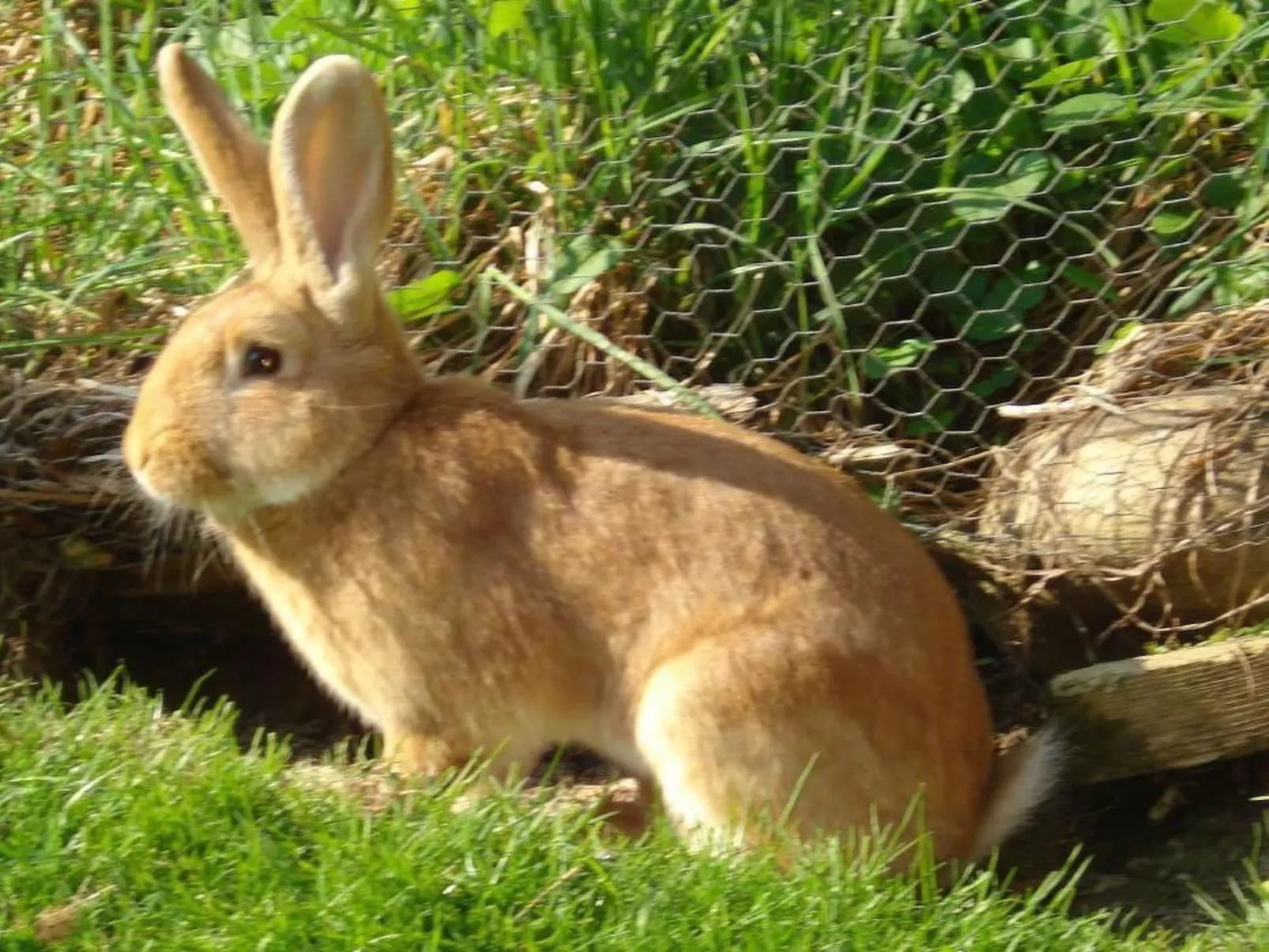 Burehof Waltrigen-Binnen