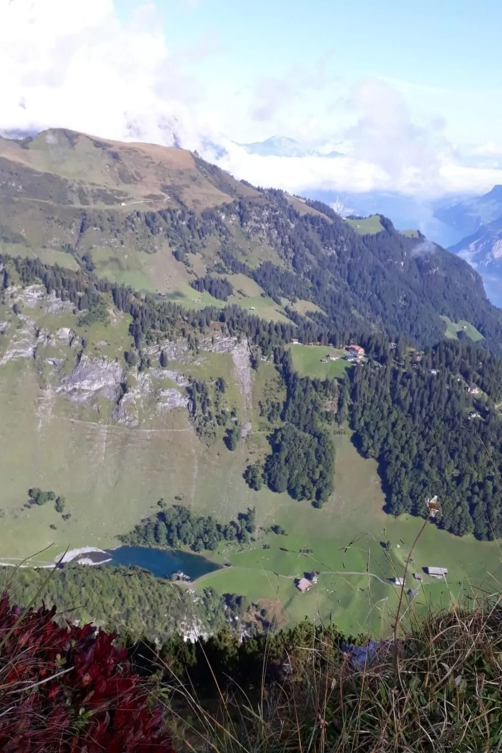 Ferienwohnung-Buiten