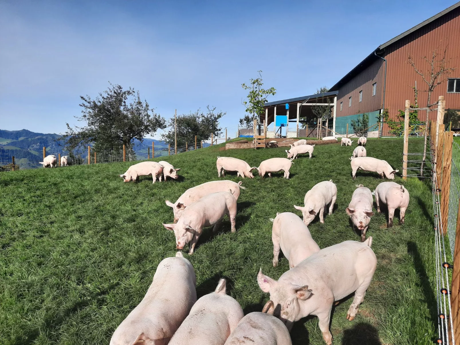 Eygrat-Image-tags.info