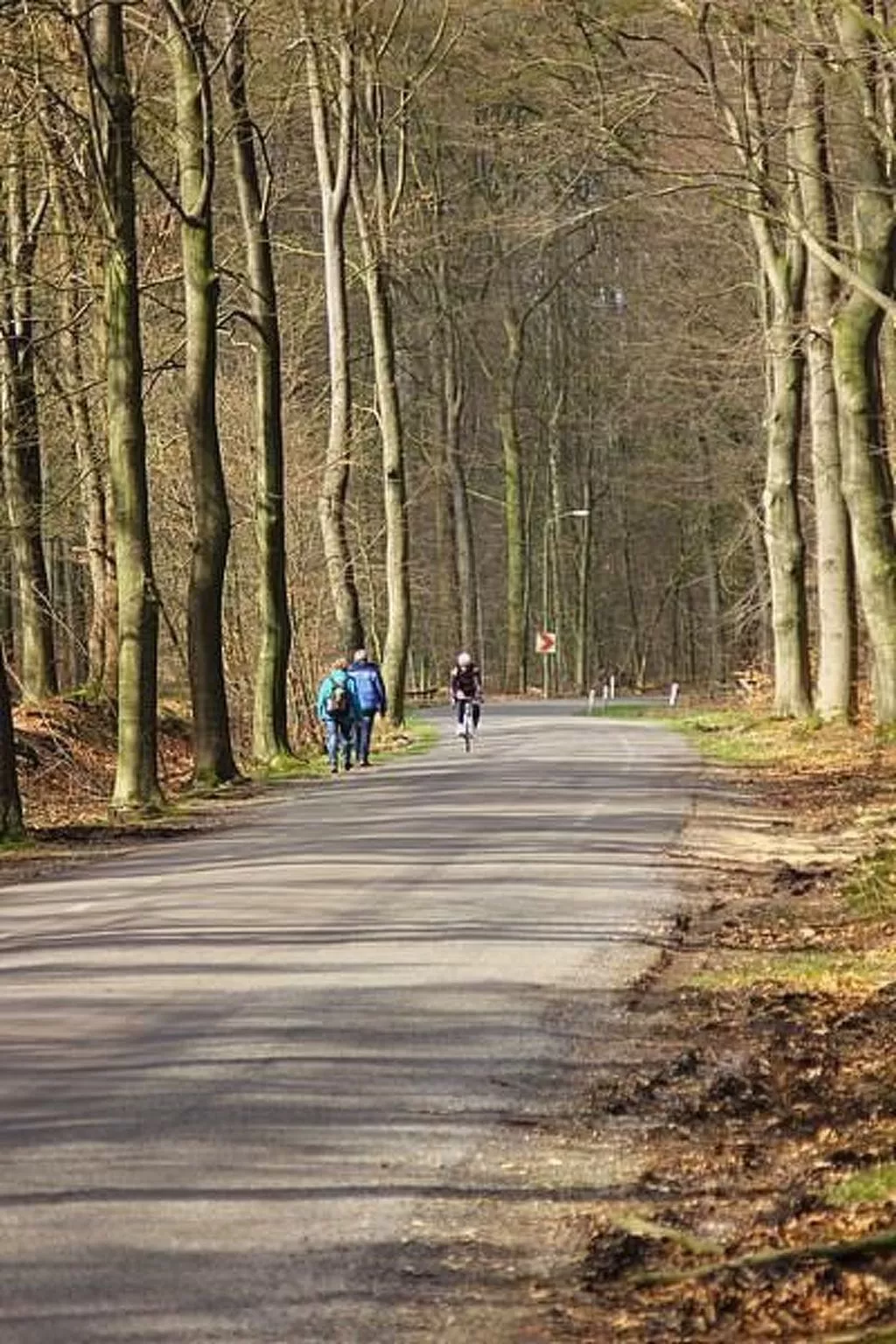 Anwesen "Oranjehorst"-Image-tags.info