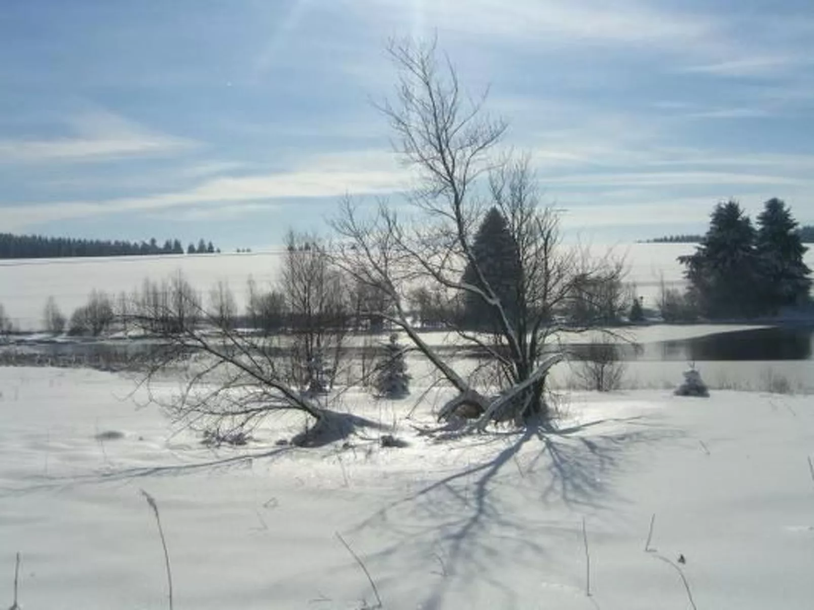 Ferienw. Natur pur-Buiten