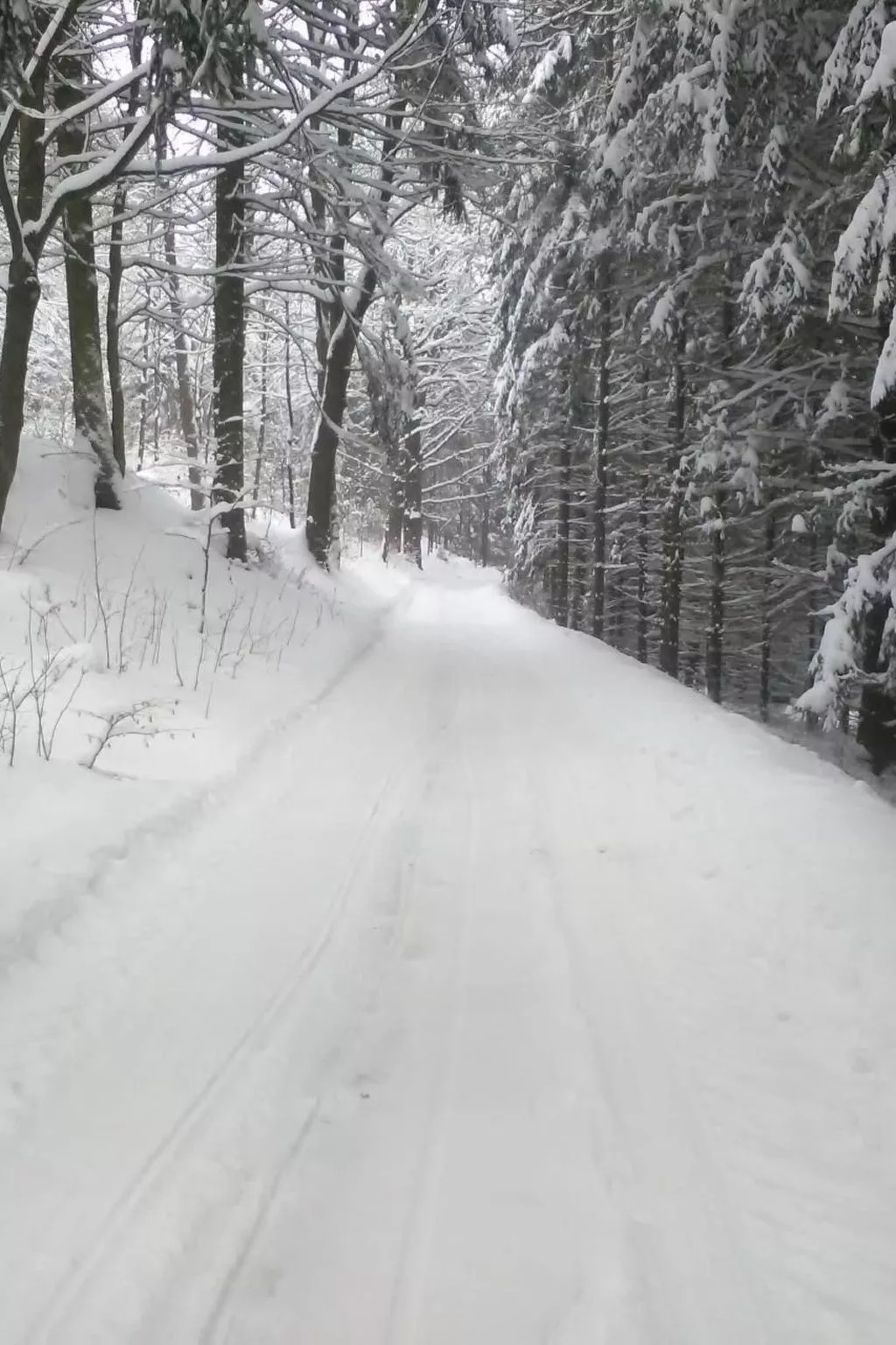 Mit der Natur im Einklang-Binnen