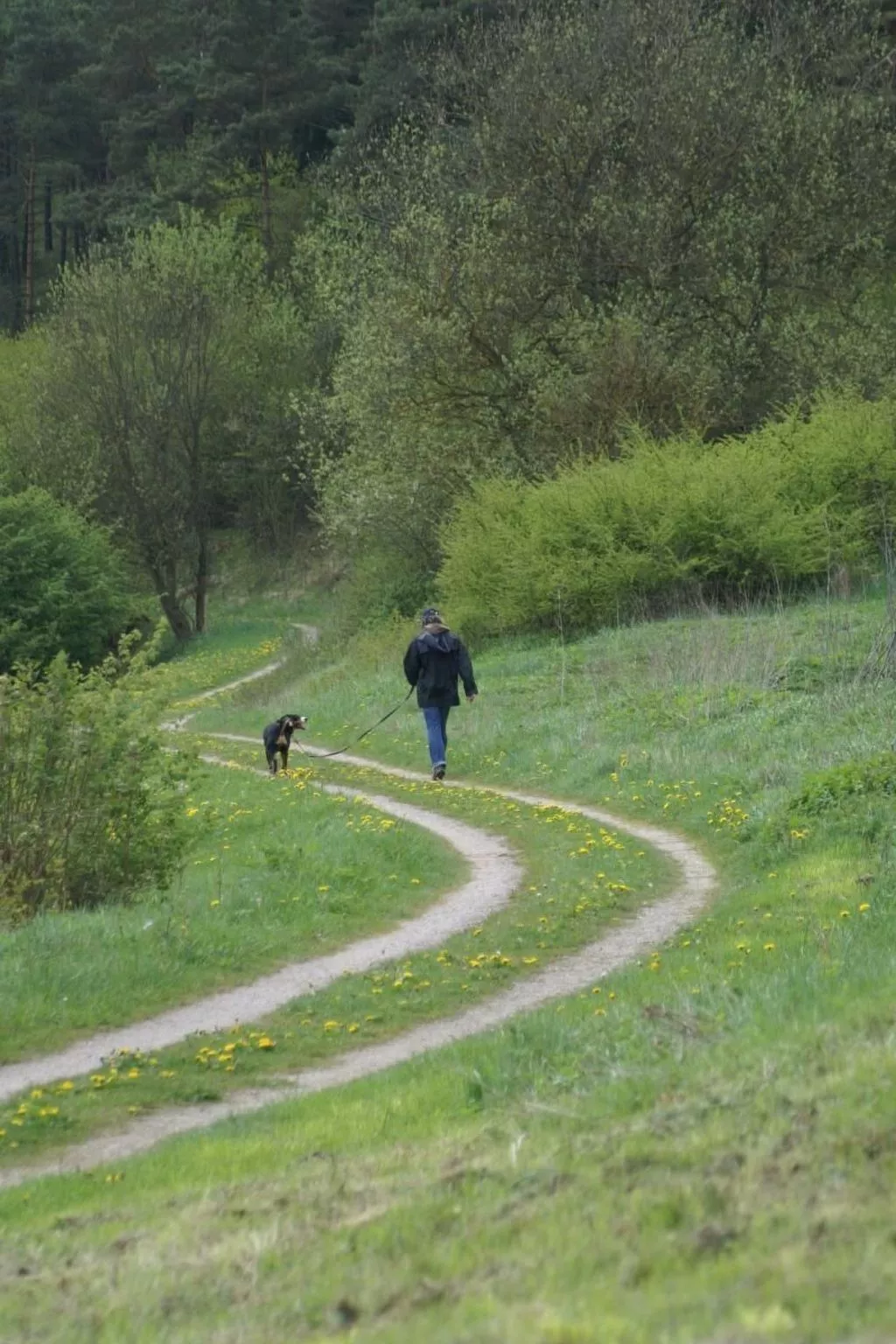 Gemütliche Maisonette Wohnung Seelenblick-Binnen