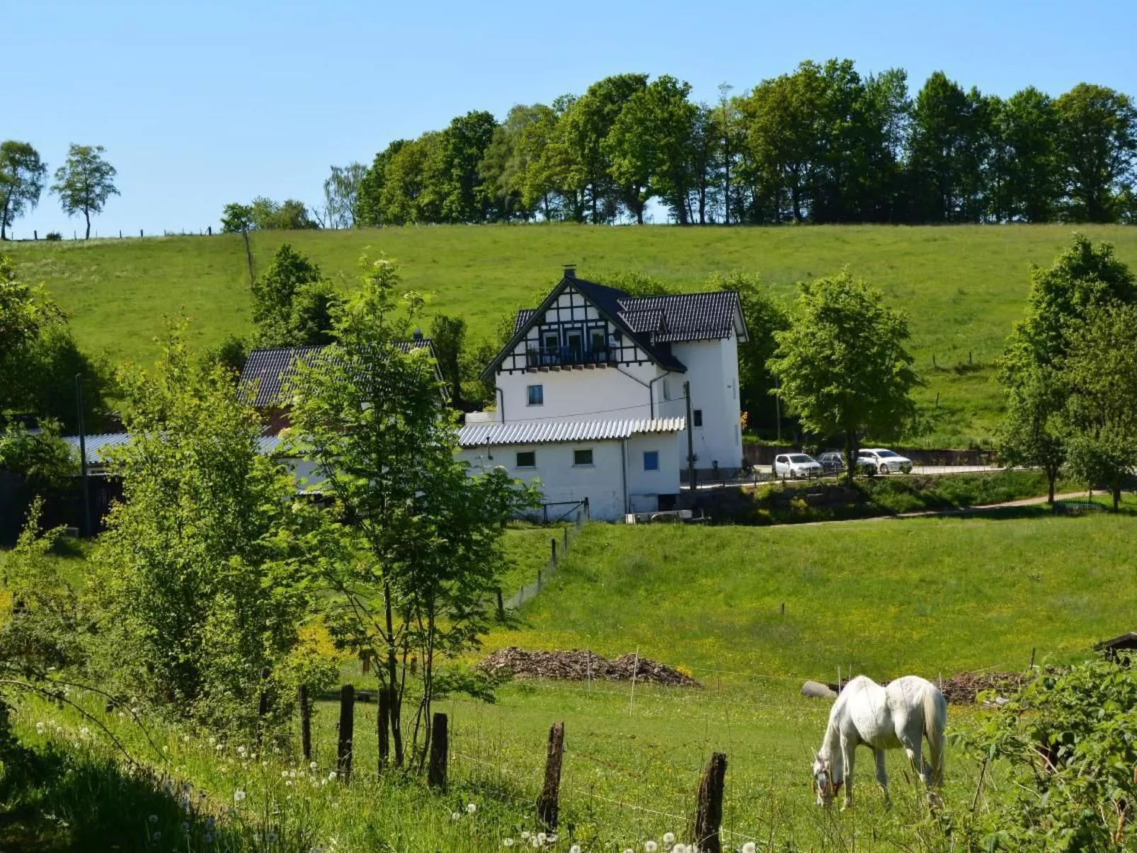 In Feldmannshof mit Grill und Garten-Binnen