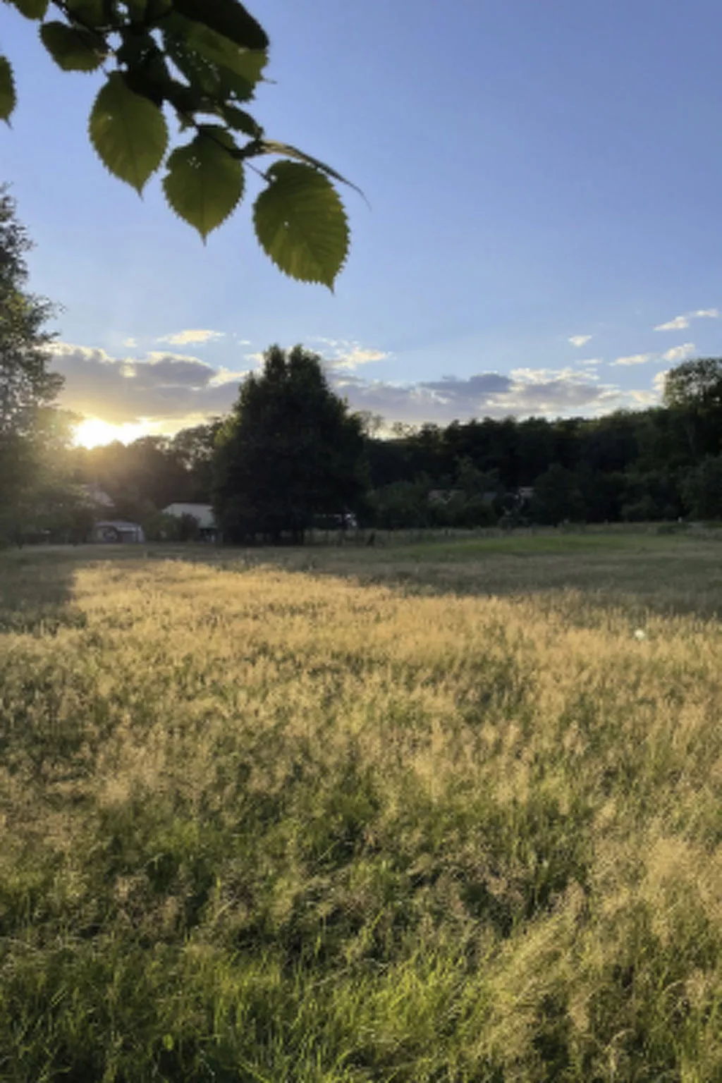 Spreewaldhaus am Landgut - Der Stall-Binnen