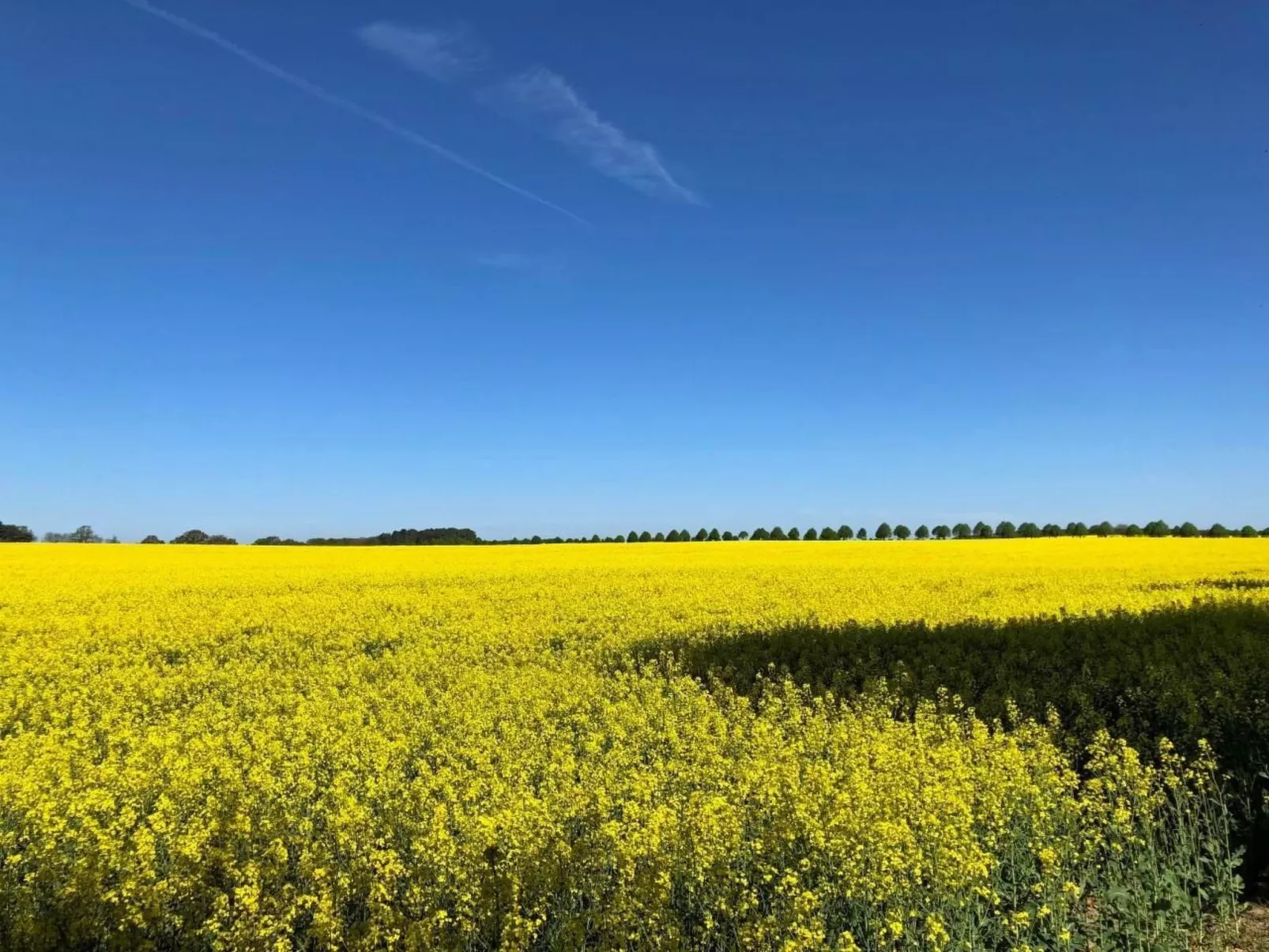 Müritz Ferienhaus-Binnen