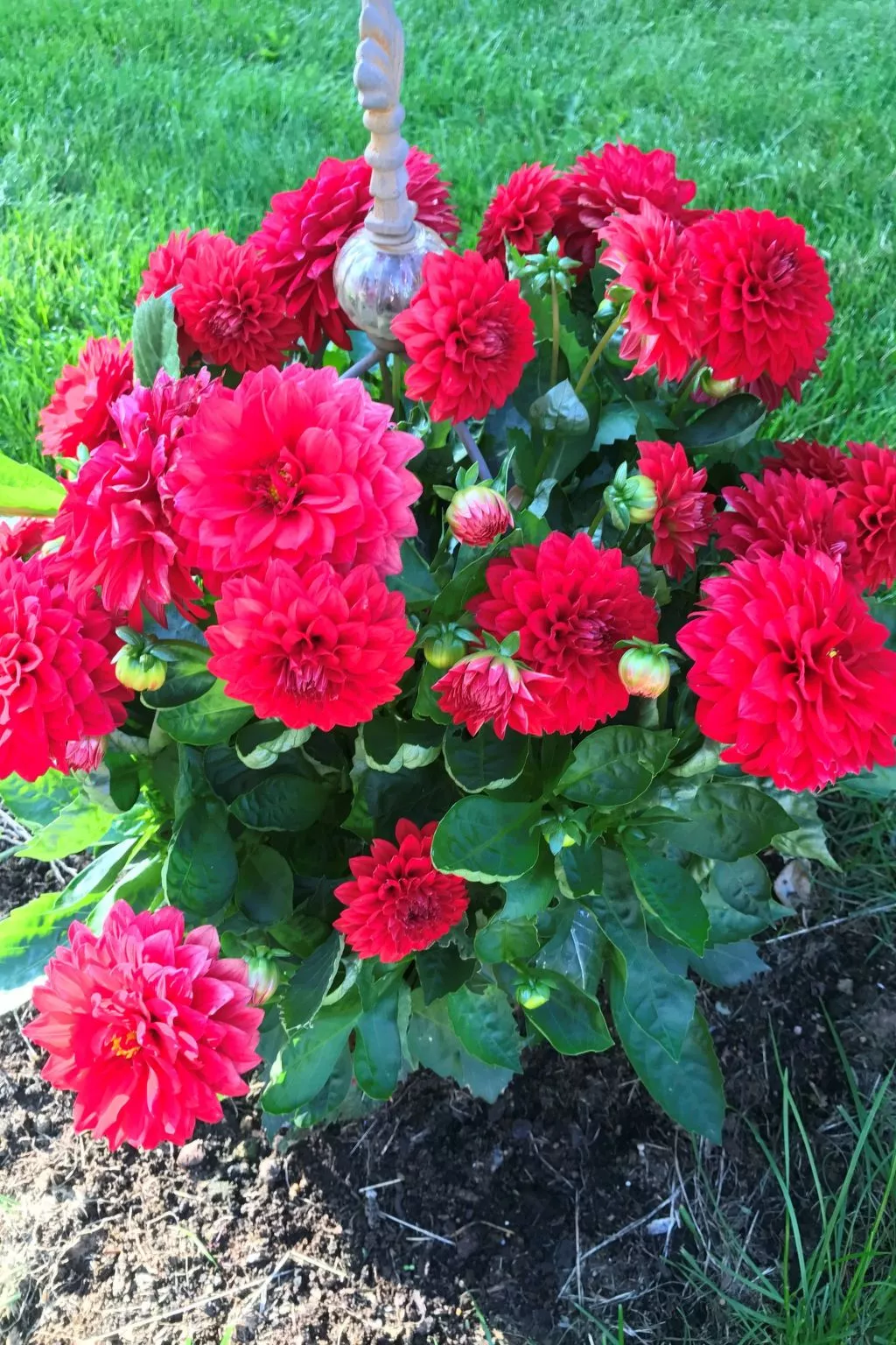 Haus Alpenblick-Binnen