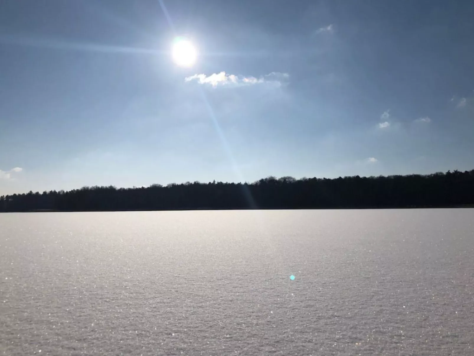 Reetdach Ferienhaus am Lübbesee Sauna Bootsteg neu-Binnen