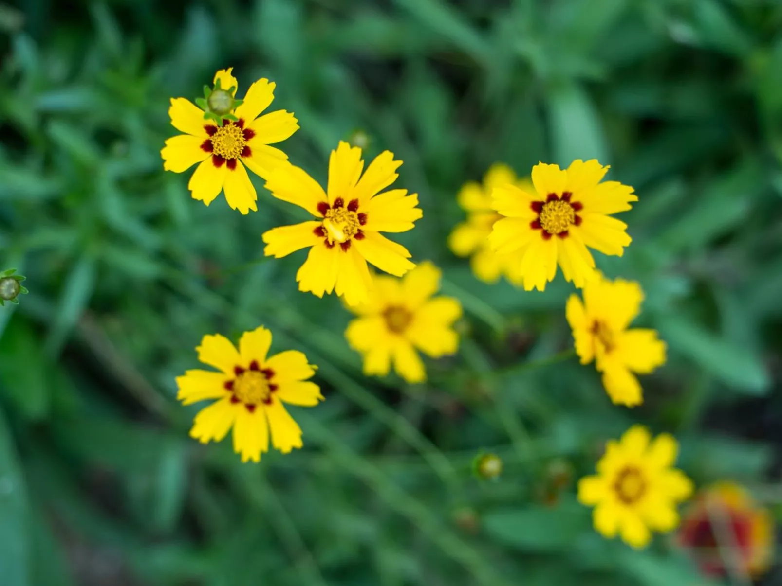 Gemütliches Ferienhaus in Hasenfeld mit Großem Garten-Binnen