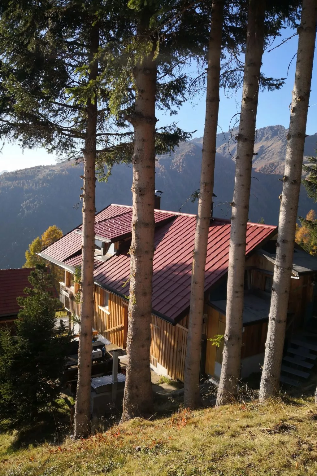 Almhütte Enzian-Binnen