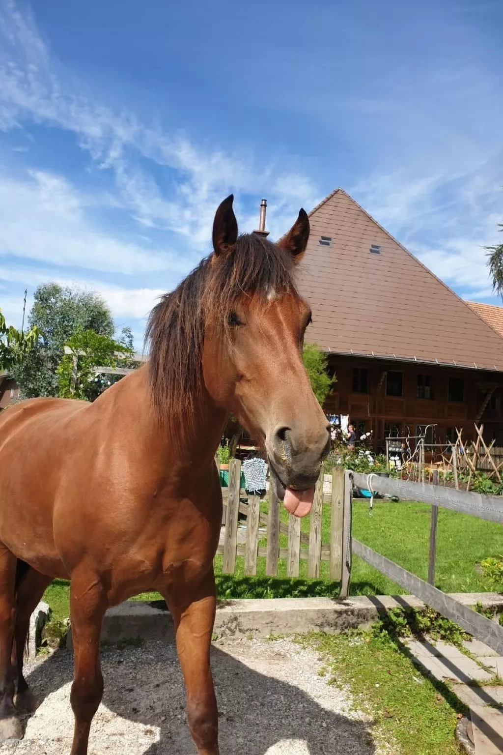 Sommerhof-Image-tags.info