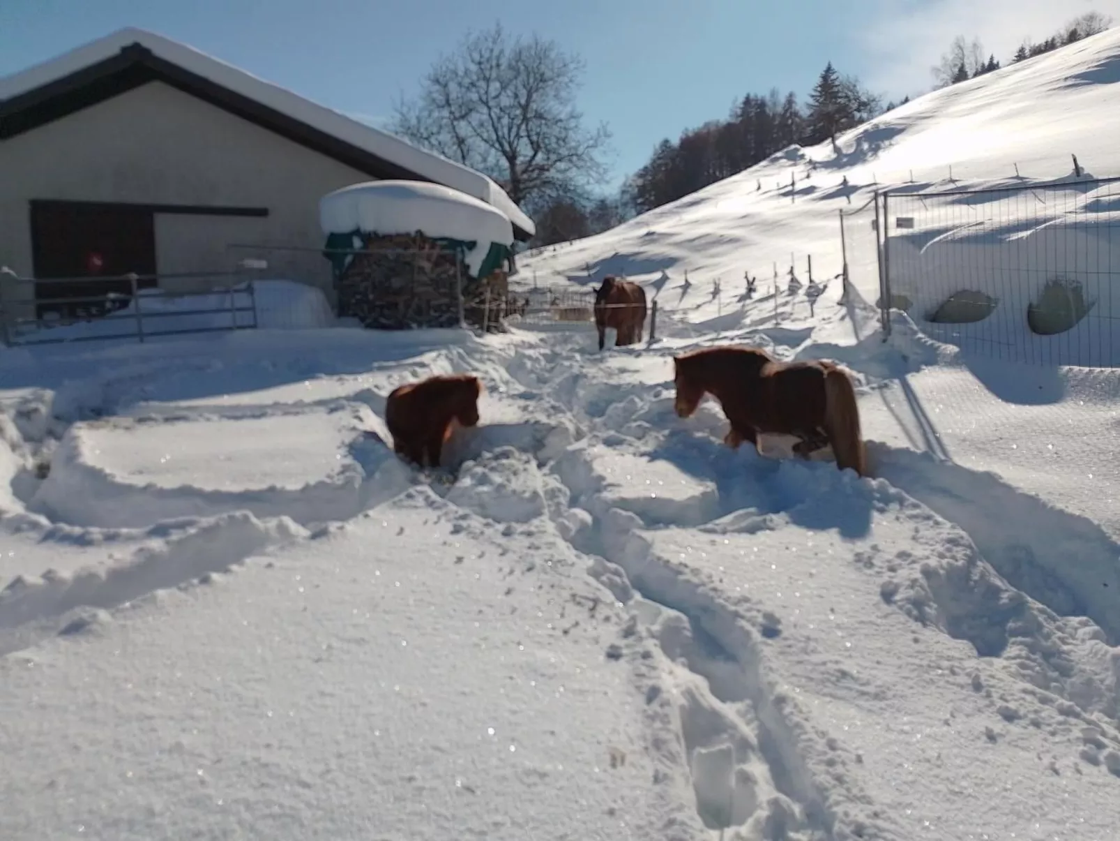 Staudenhof Viamala-Binnen