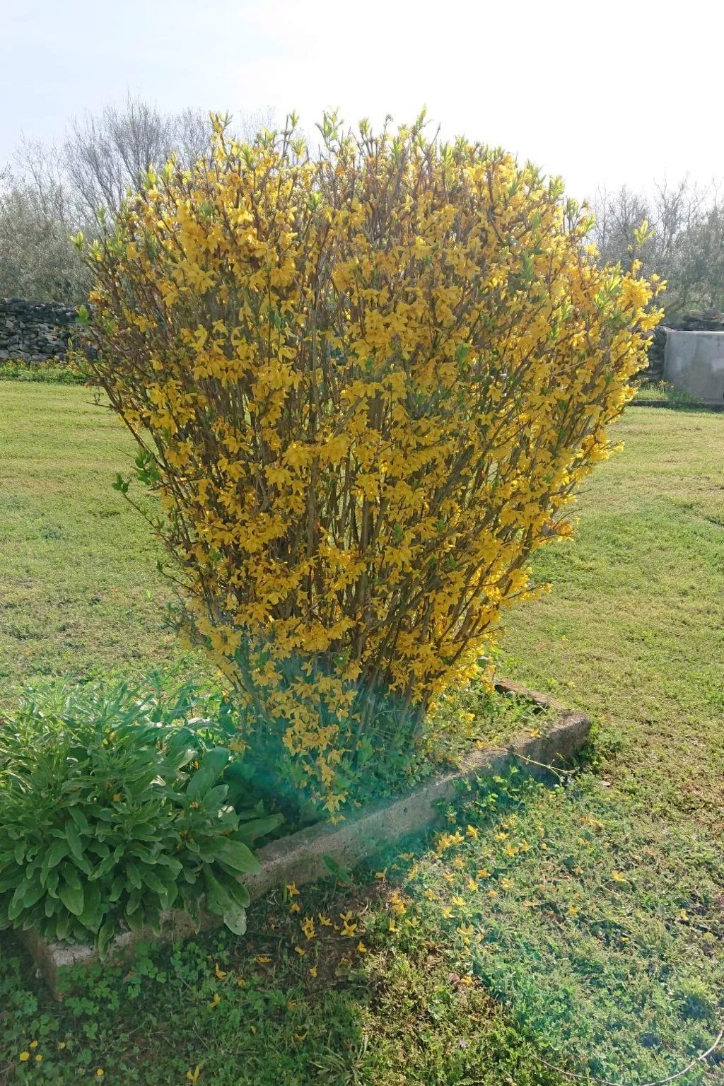 Das Haus im Wald-Binnen