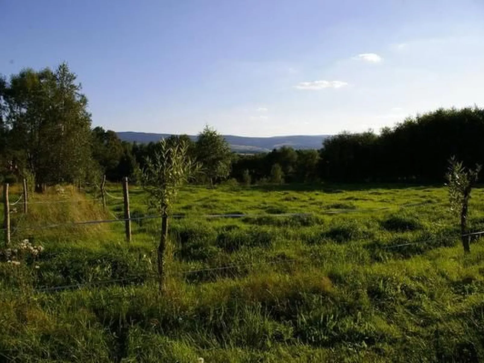 Blockhaus in Gajówka mit Kaminofen-Image-tags.info